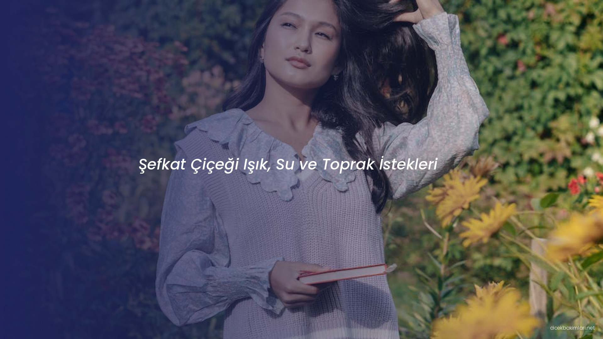 Şefkat Çiçeği Işık, Su ve Toprak İstekleri