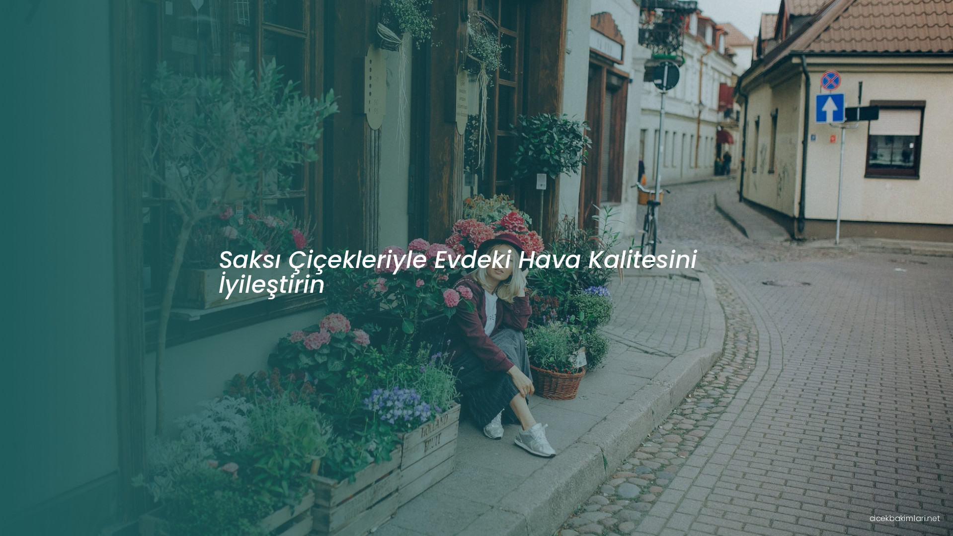 Saksı Çiçekleriyle Evdeki Hava Kalitesini İyileştirin