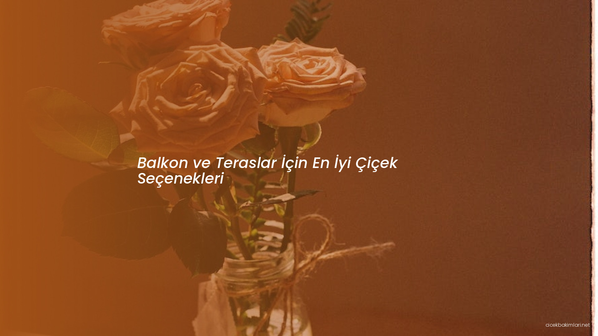 Balkon ve Teraslar İçin En İyi Çiçek Seçenekleri