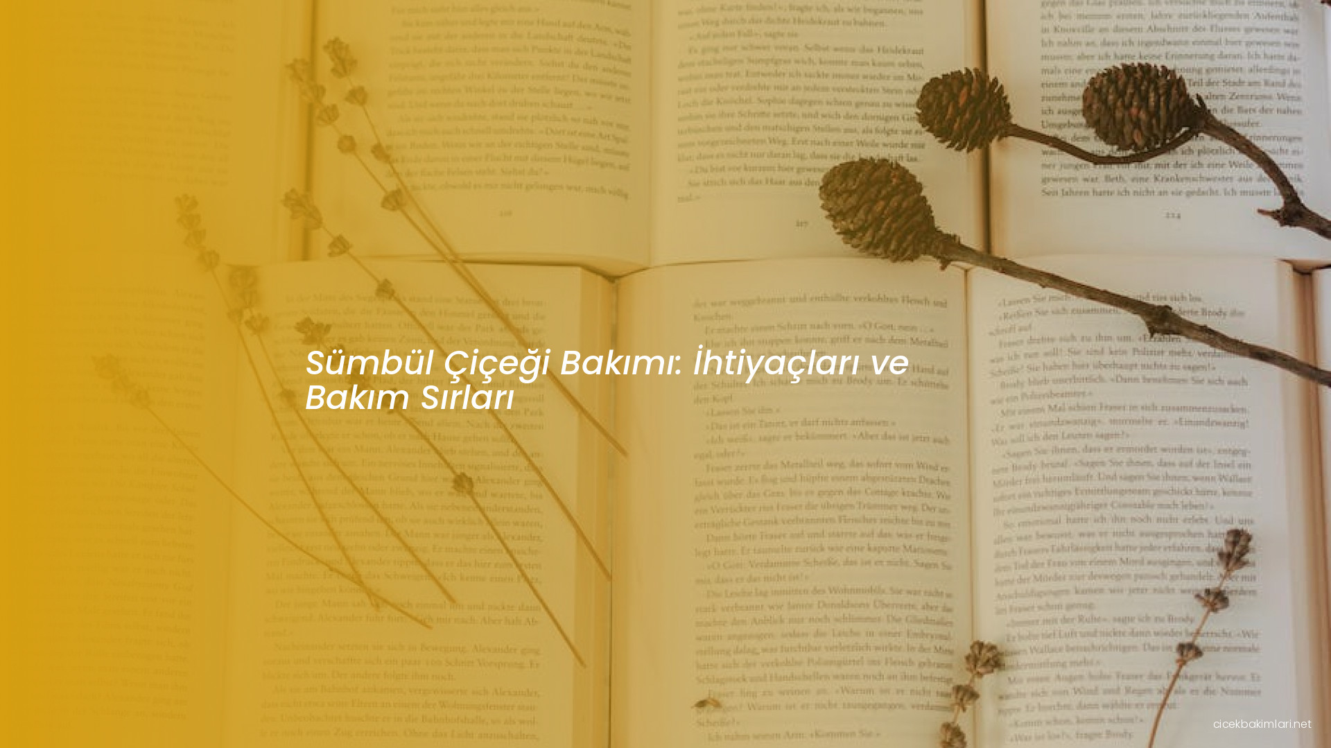 Sümbül Çiçeği Bakımı: İhtiyaçları ve Bakım Sırları
