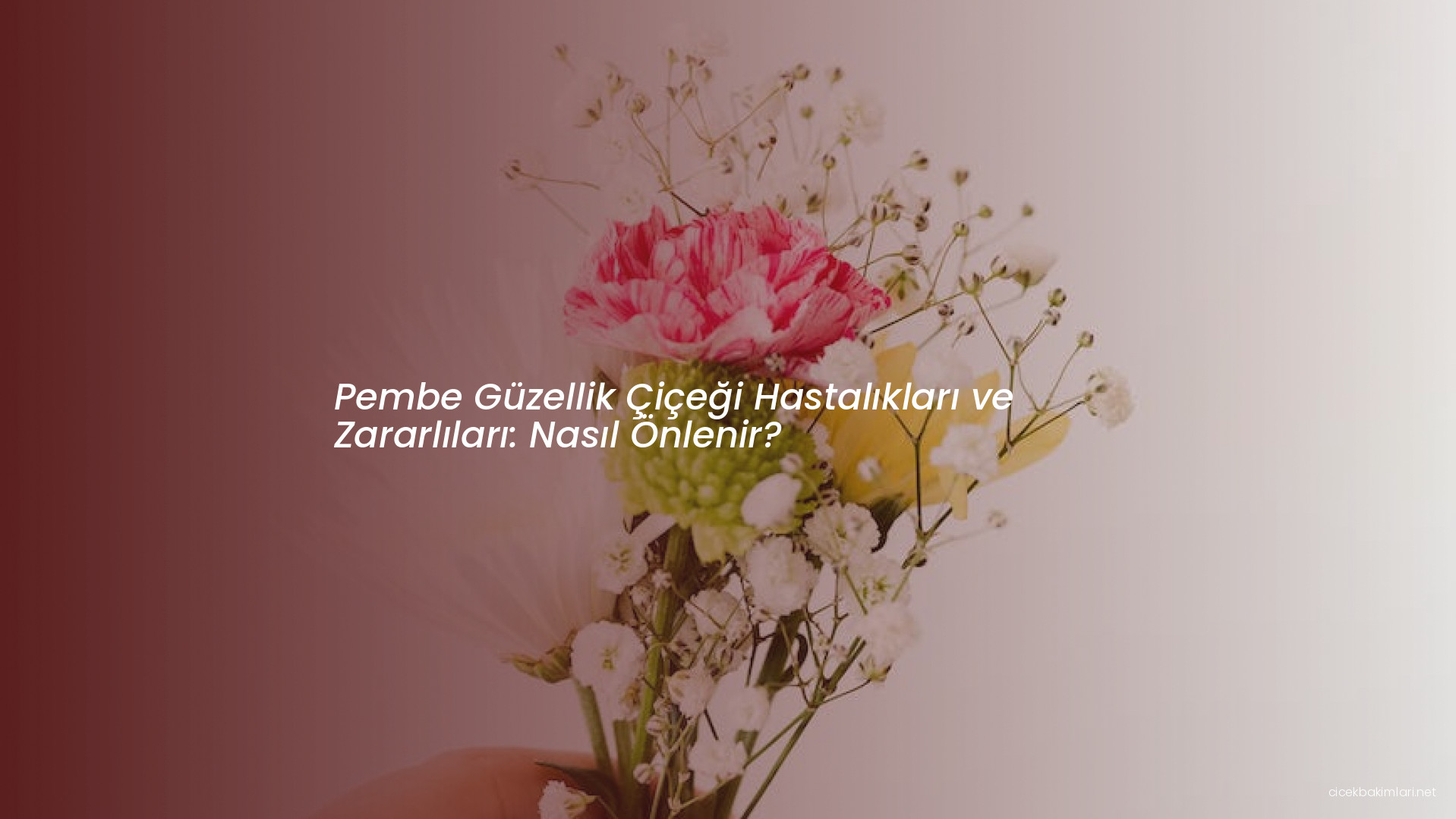 Pembe Güzellik Çiçeği Hastalıkları ve Zararlıları: Nasıl Önlenir?