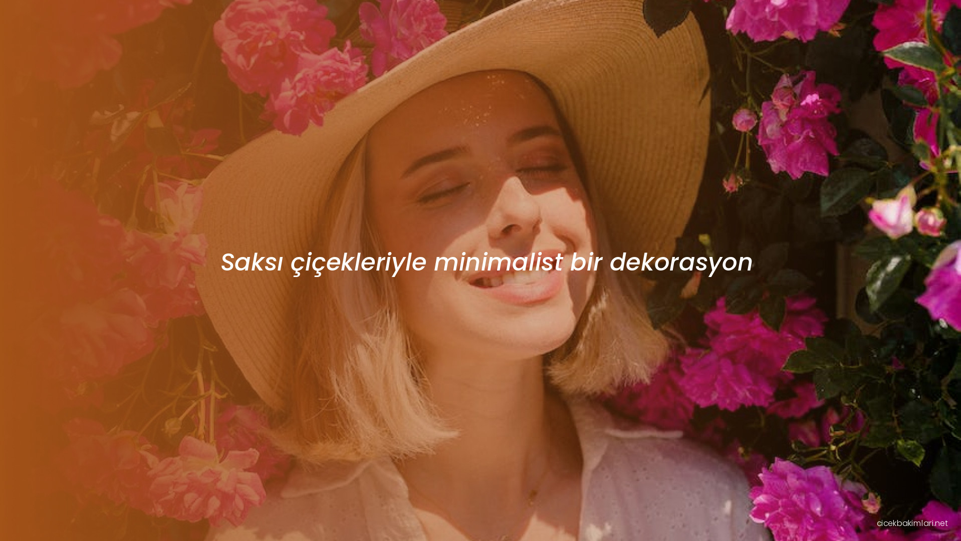 Saksı çiçekleriyle minimalist bir dekorasyon