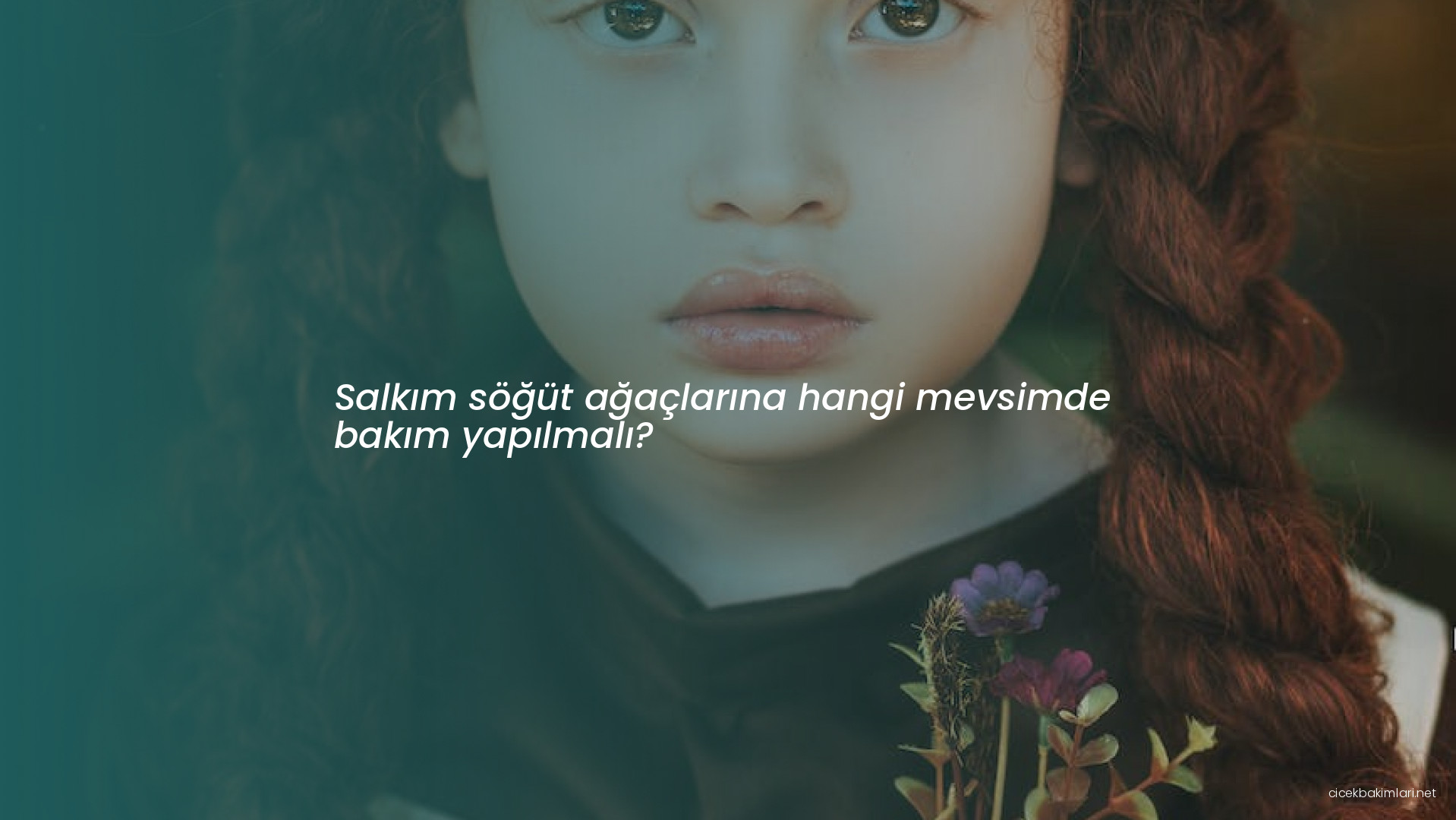 Salkım söğüt ağaçlarına hangi mevsimde bakım yapılmalı?