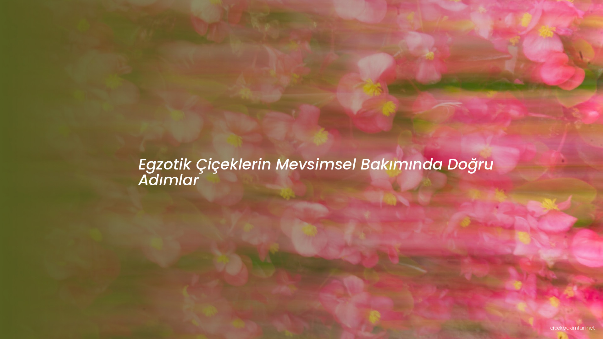 Egzotik Çiçeklerin Mevsimsel Bakımında Doğru Adımlar