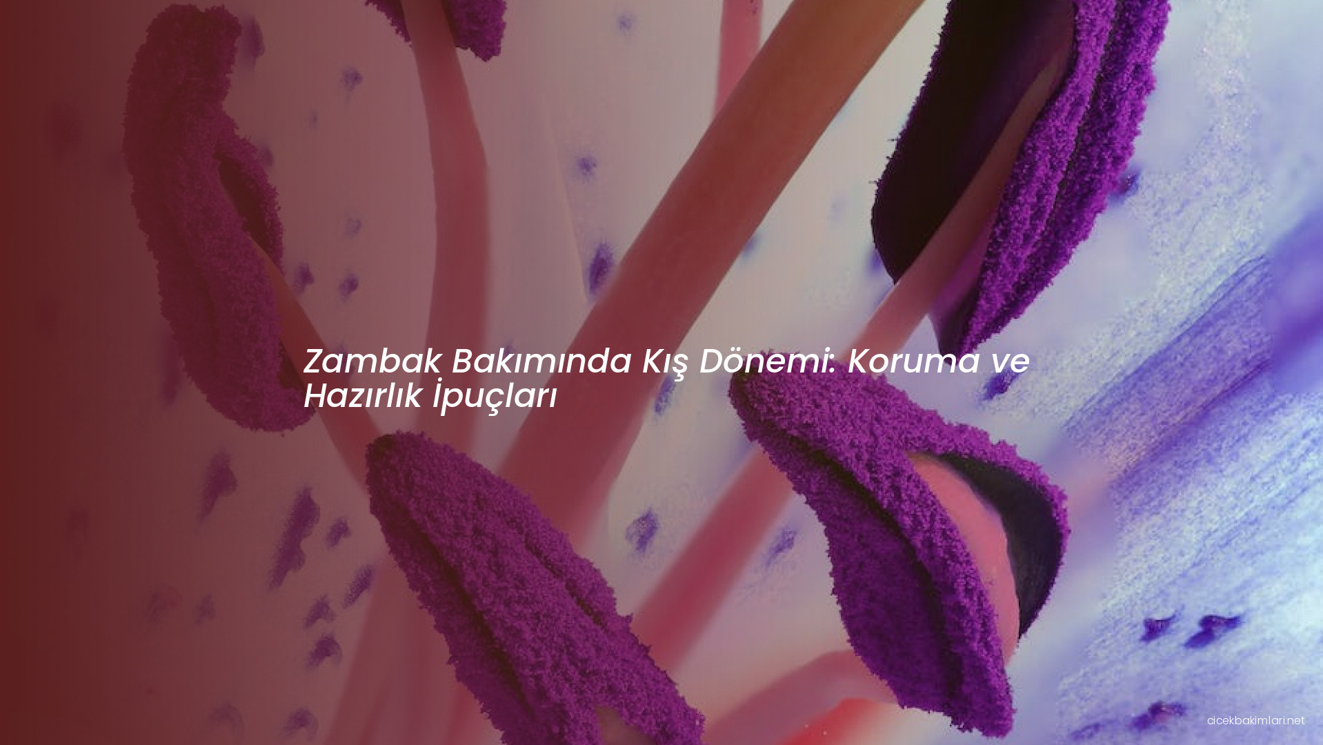 Zambak Bakımında Kış Dönemi: Koruma ve Hazırlık İpuçları