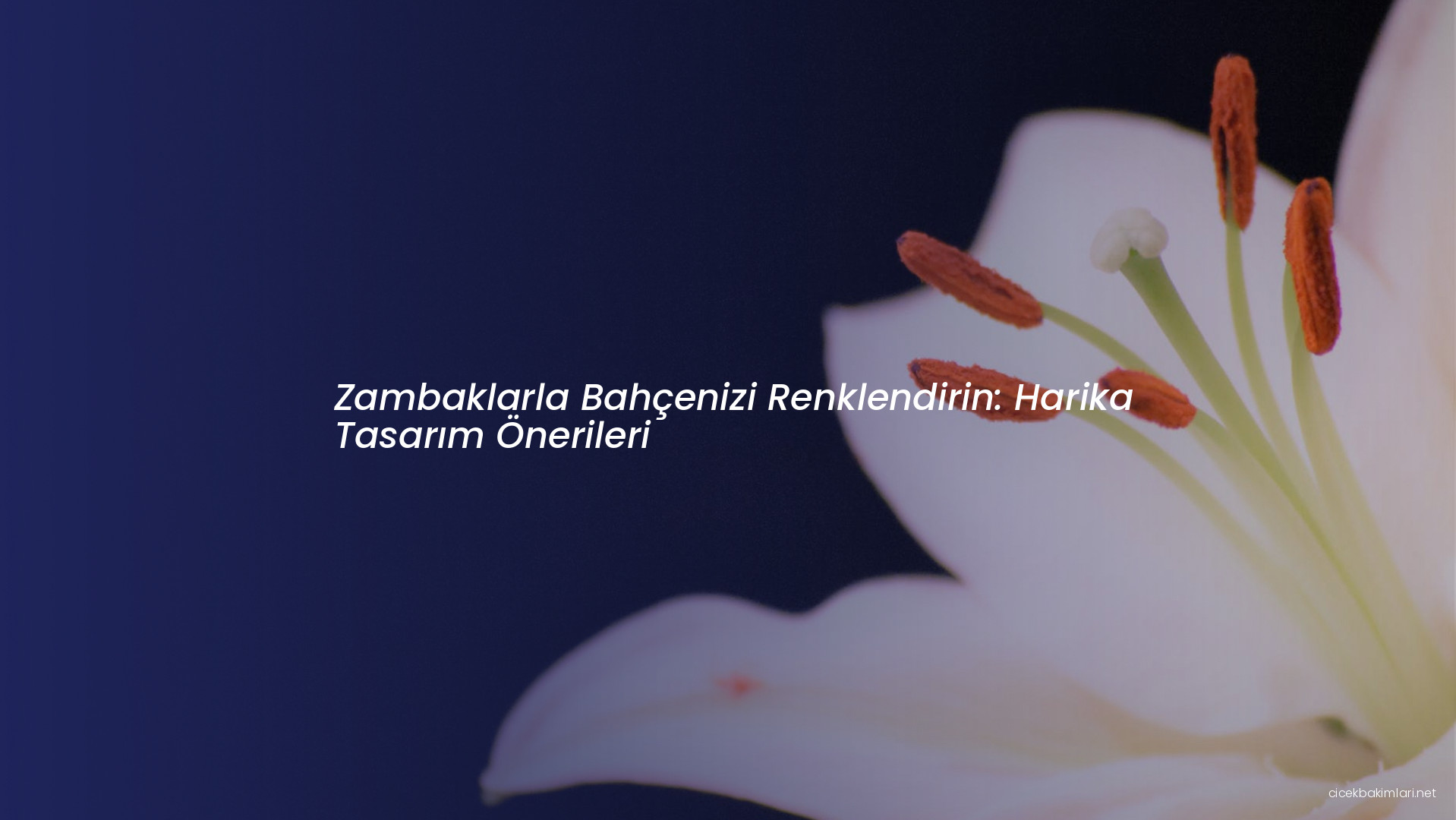 Zambaklarla Bahçenizi Renklendirin: Harika Tasarım Önerileri