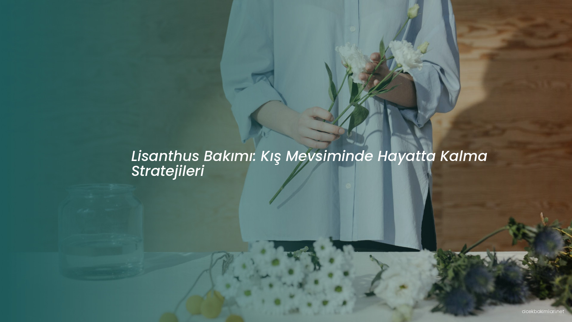 Lisanthus Bakımı: Kış Mevsiminde Hayatta Kalma Stratejileri