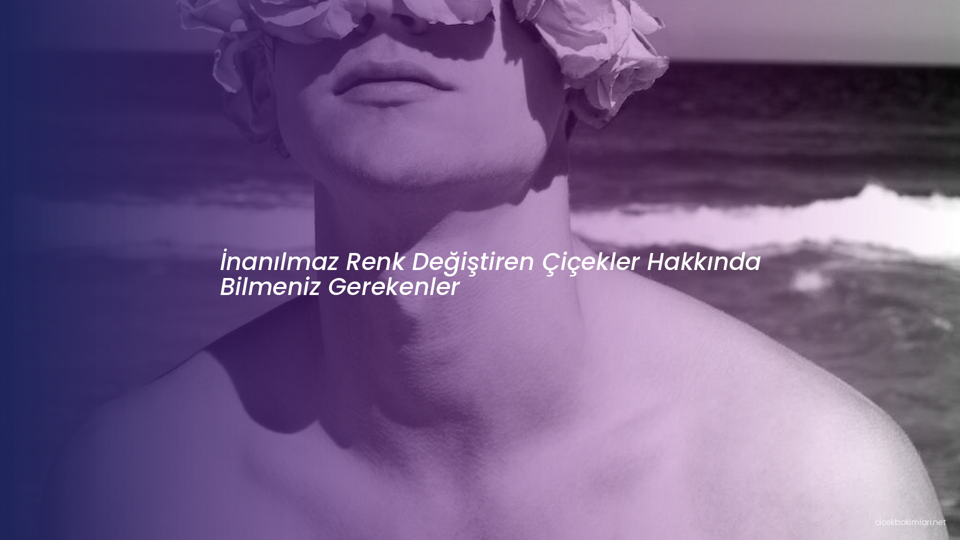 İnanılmaz Renk Değiştiren Çiçekler Hakkında Bilmeniz Gerekenler