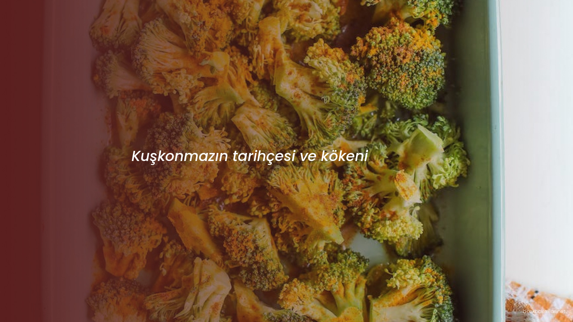 Kuşkonmazın tarihçesi ve kökeni