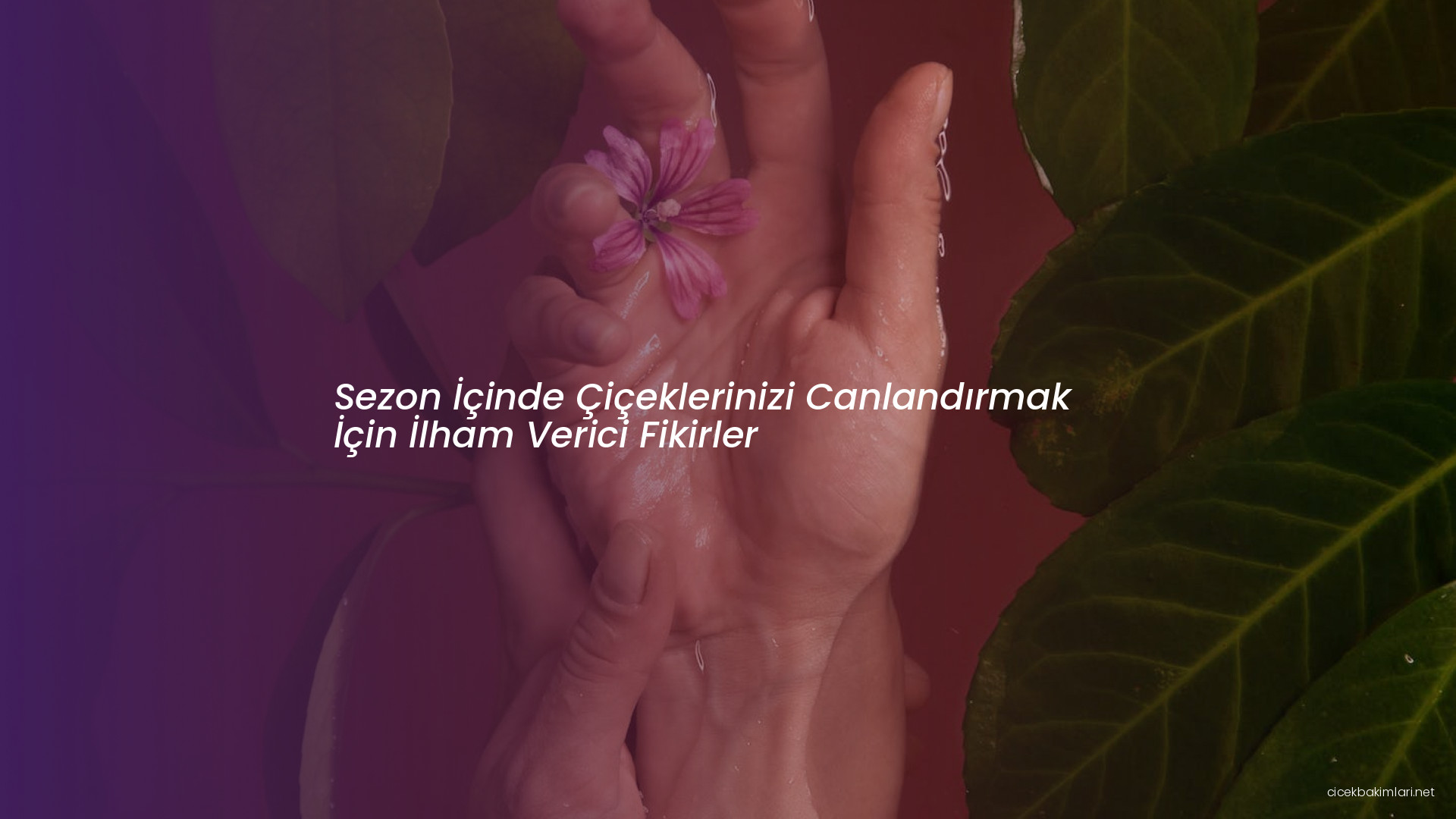 Sezon İçinde Çiçeklerinizi Canlandırmak İçin İlham Verici Fikirler