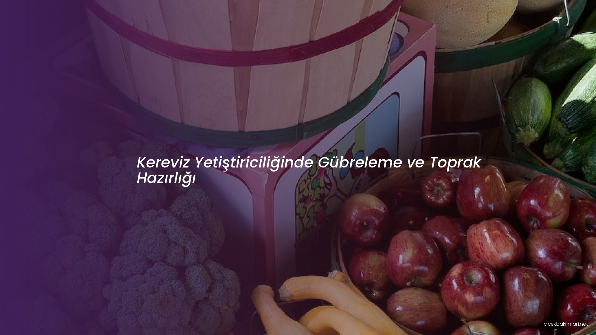 Kereviz Yetiştiriciliğinde Gübreleme ve Toprak Hazırlığı