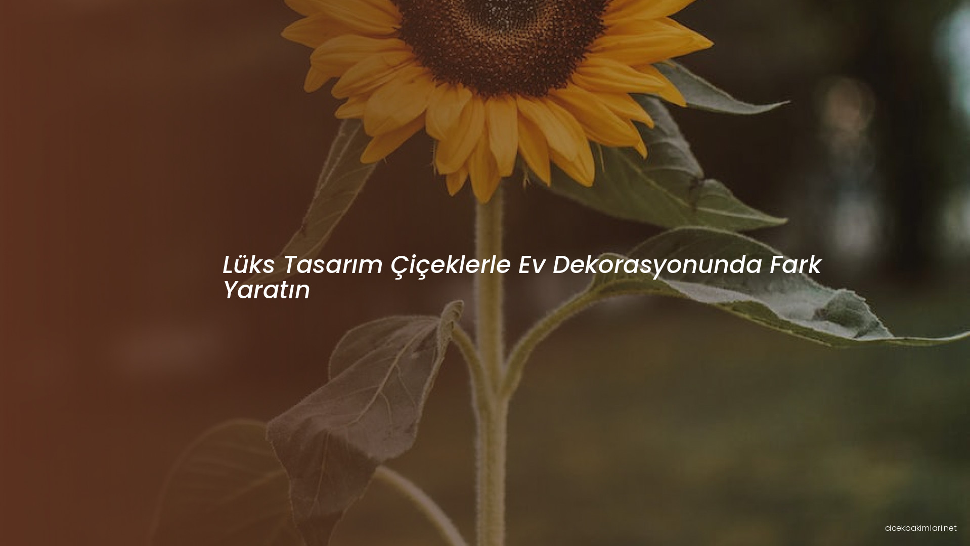 Lüks Tasarım Çiçeklerle Ev Dekorasyonunda Fark Yaratın