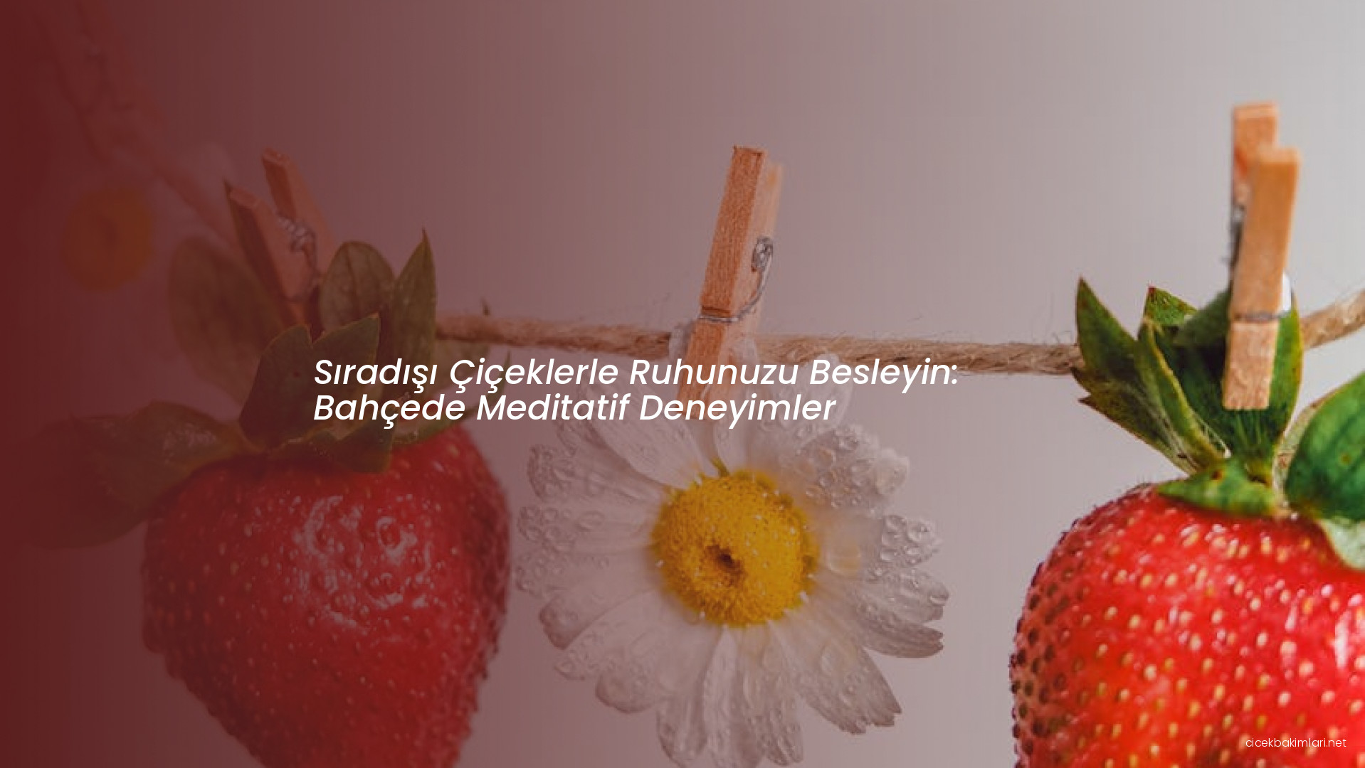 Sıradışı Çiçeklerle Ruhunuzu Besleyin: Bahçede Meditatif Deneyimler