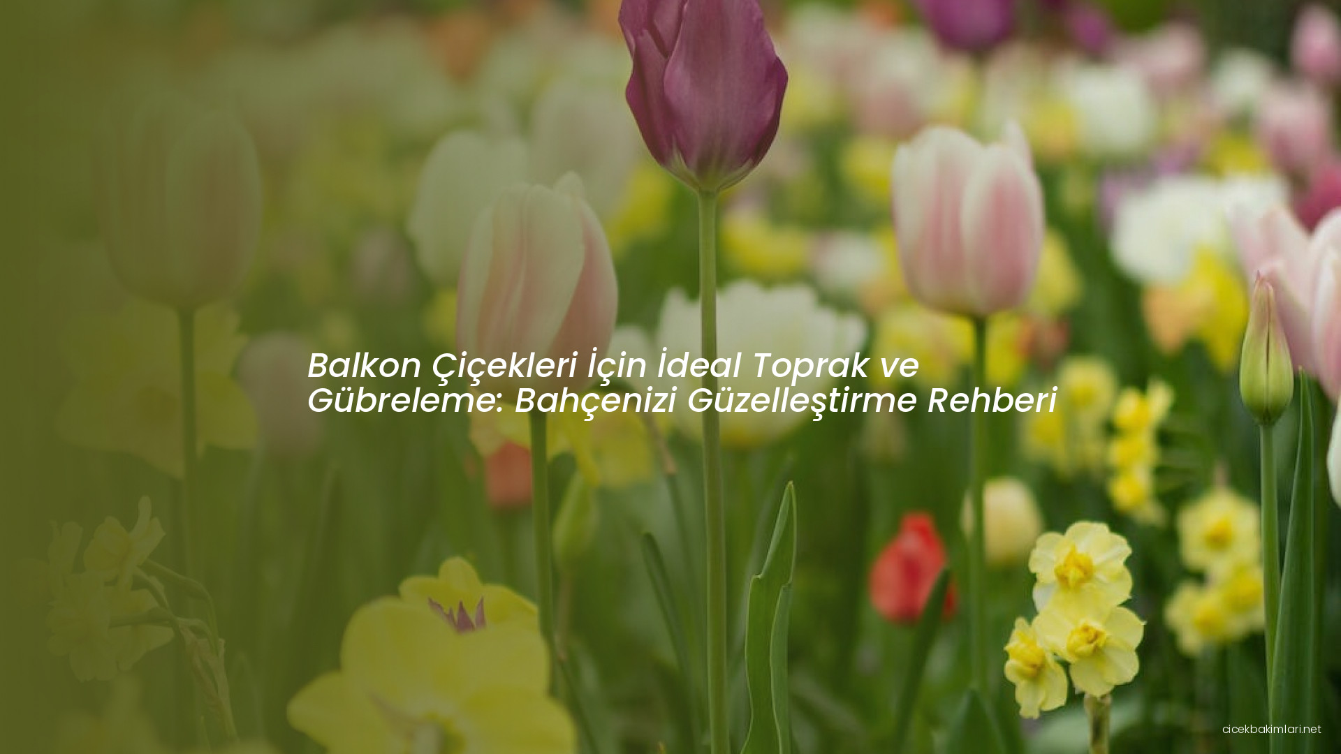 Balkon Çiçekleri İçin İdeal Toprak ve Gübreleme: Bahçenizi Güzelleştirme Rehberi
