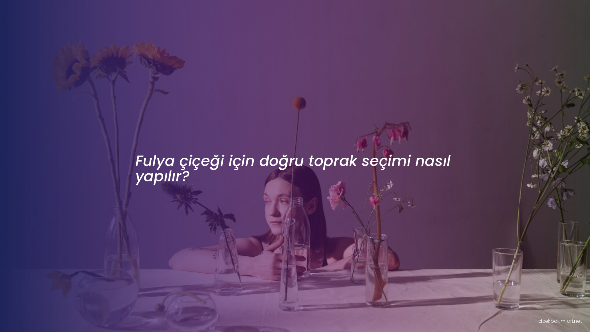 Fulya çiçeği için doğru toprak seçimi nasıl yapılır?