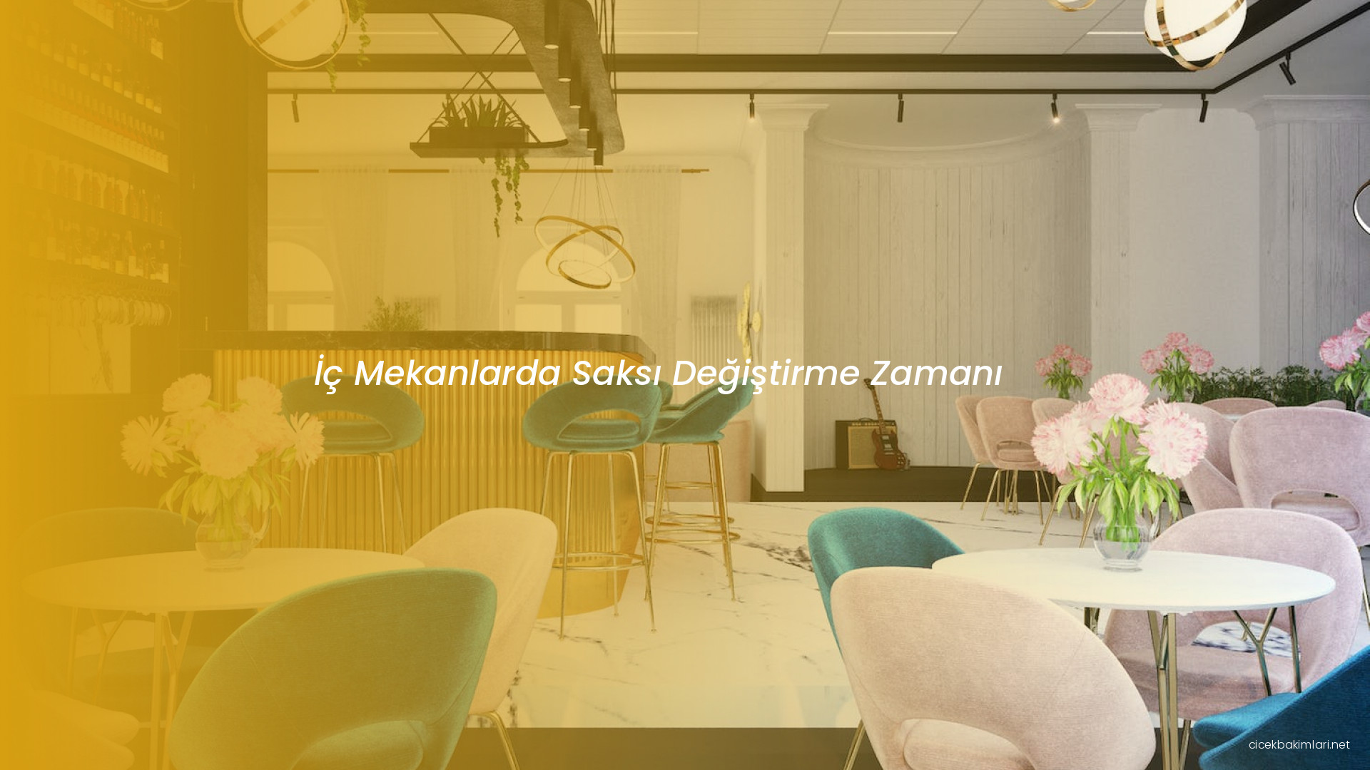 İç Mekanlarda Saksı Değiştirme Zamanı