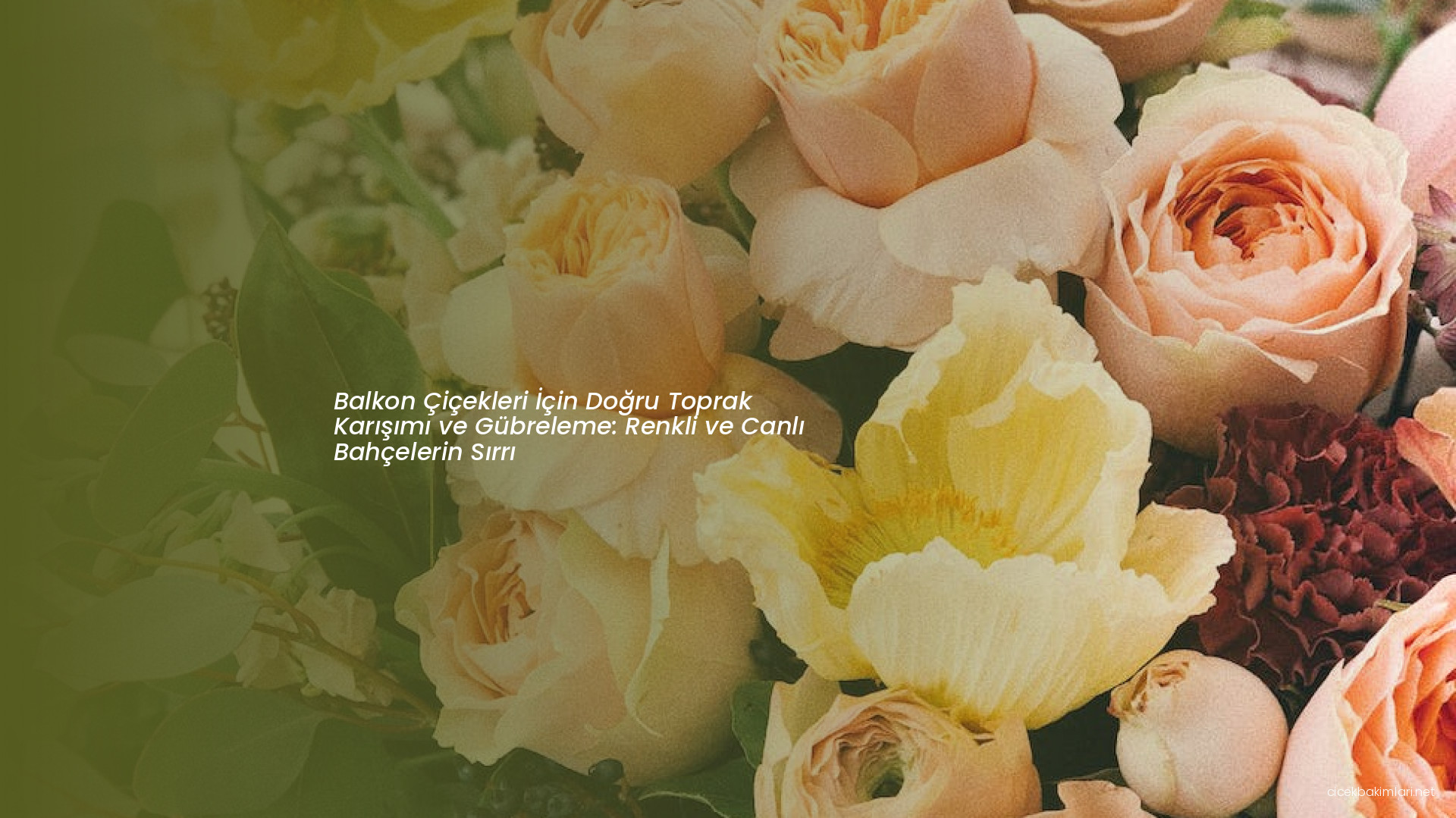 Balkon Çiçekleri İçin Doğru Toprak Karışımı ve Gübreleme: Renkli ve Canlı Bahçelerin Sırrı
