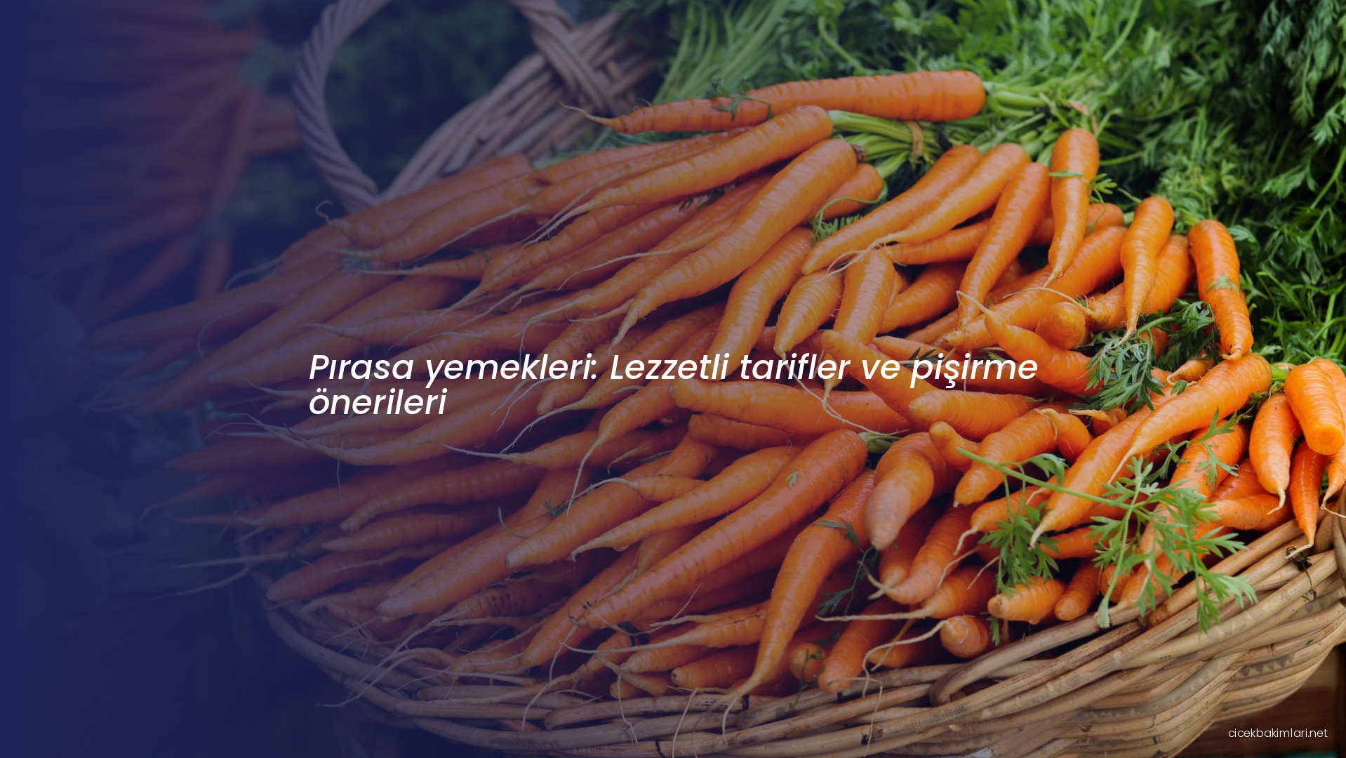 Pırasa yemekleri: Lezzetli tarifler ve pişirme önerileri