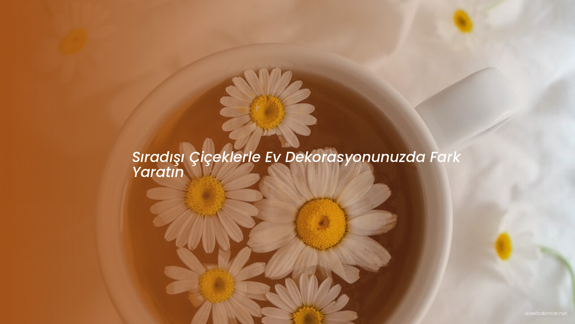 Sıradışı Çiçeklerle Ev Dekorasyonunuzda Fark Yaratın