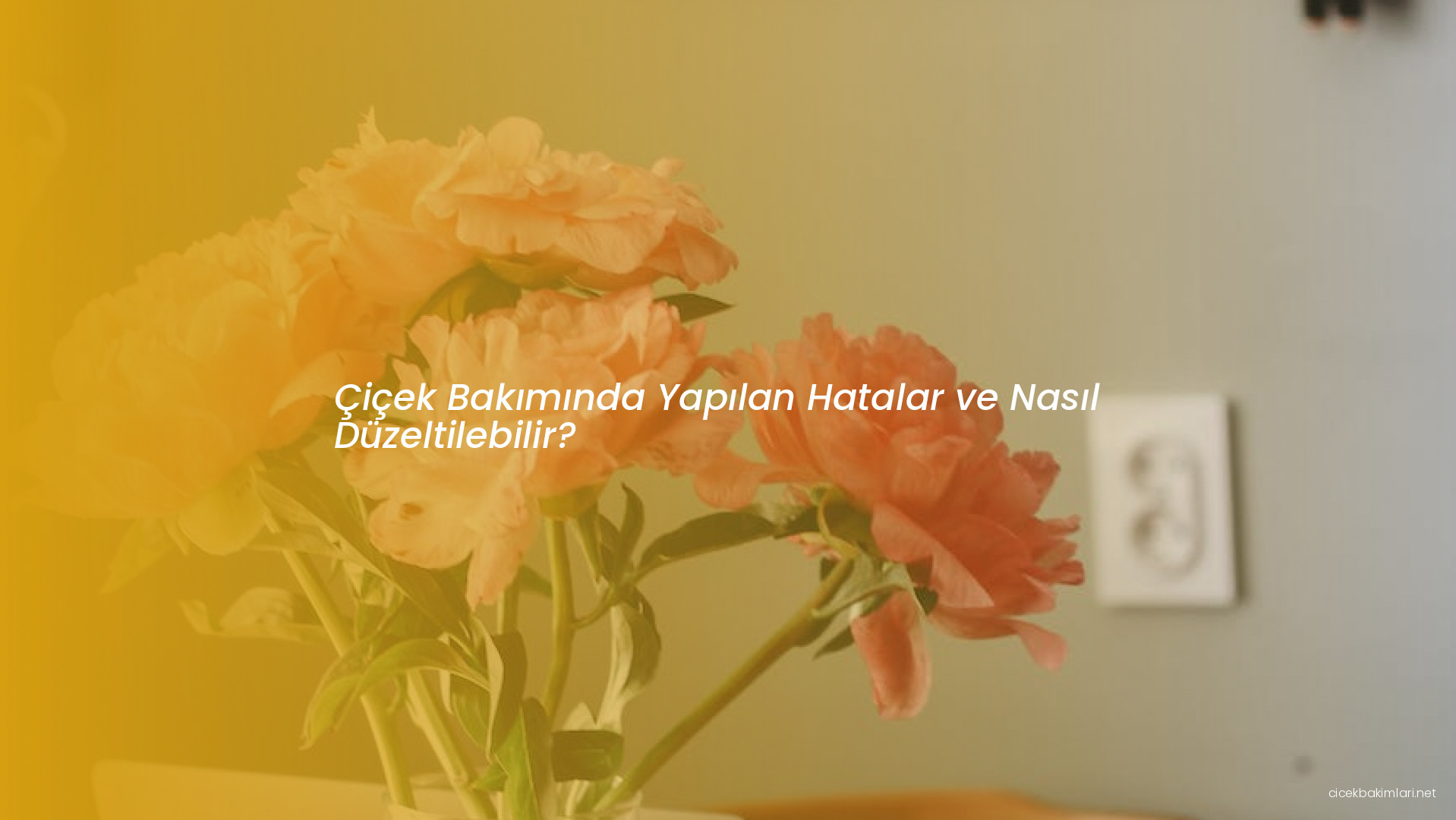 Çiçek Bakımında Yapılan Hatalar ve Nasıl Düzeltilebilir?