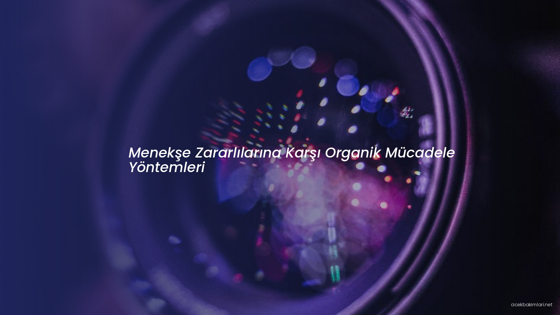 Menekşe Zararlılarına Karşı Organik Mücadele Yöntemleri