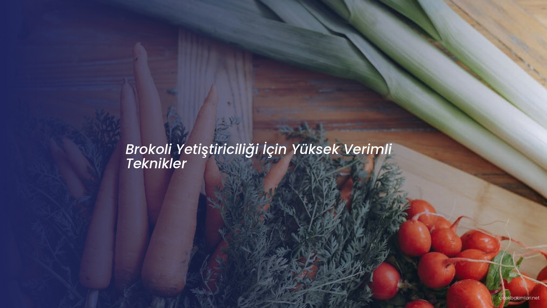 Brokoli Yetiştiriciliği İçin Yüksek Verimli Teknikler