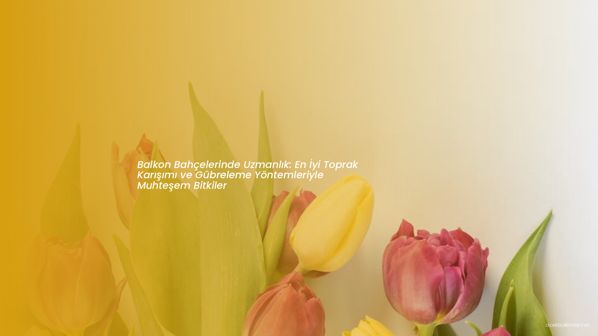 Balkon Bahçelerinde Uzmanlık: En İyi Toprak Karışımı ve Gübreleme Yöntemleriyle Muhteşem Bitkiler