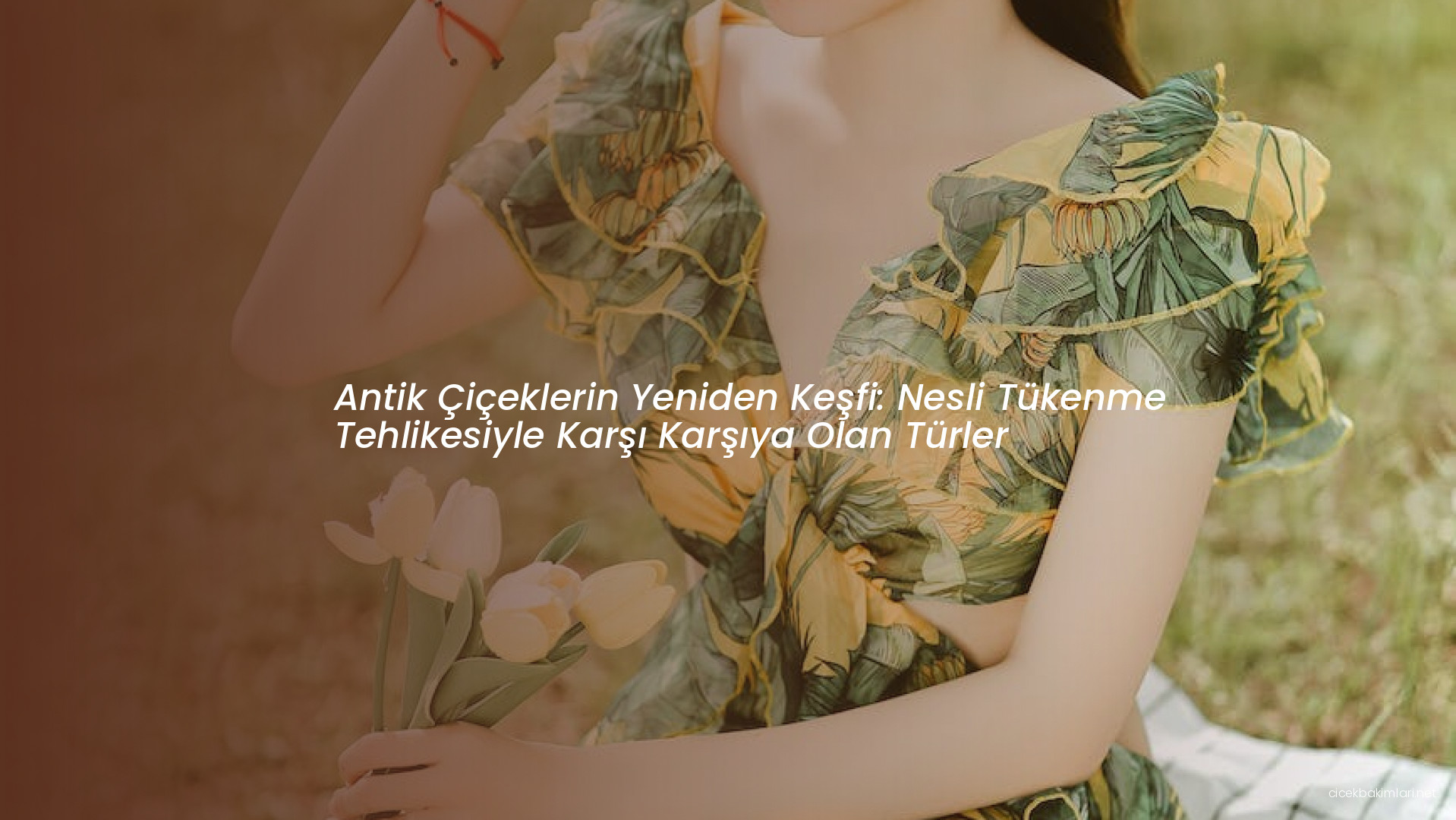 Antik Çiçeklerin Yeniden Keşfi: Nesli Tükenme Tehlikesiyle Karşı Karşıya Olan Türler