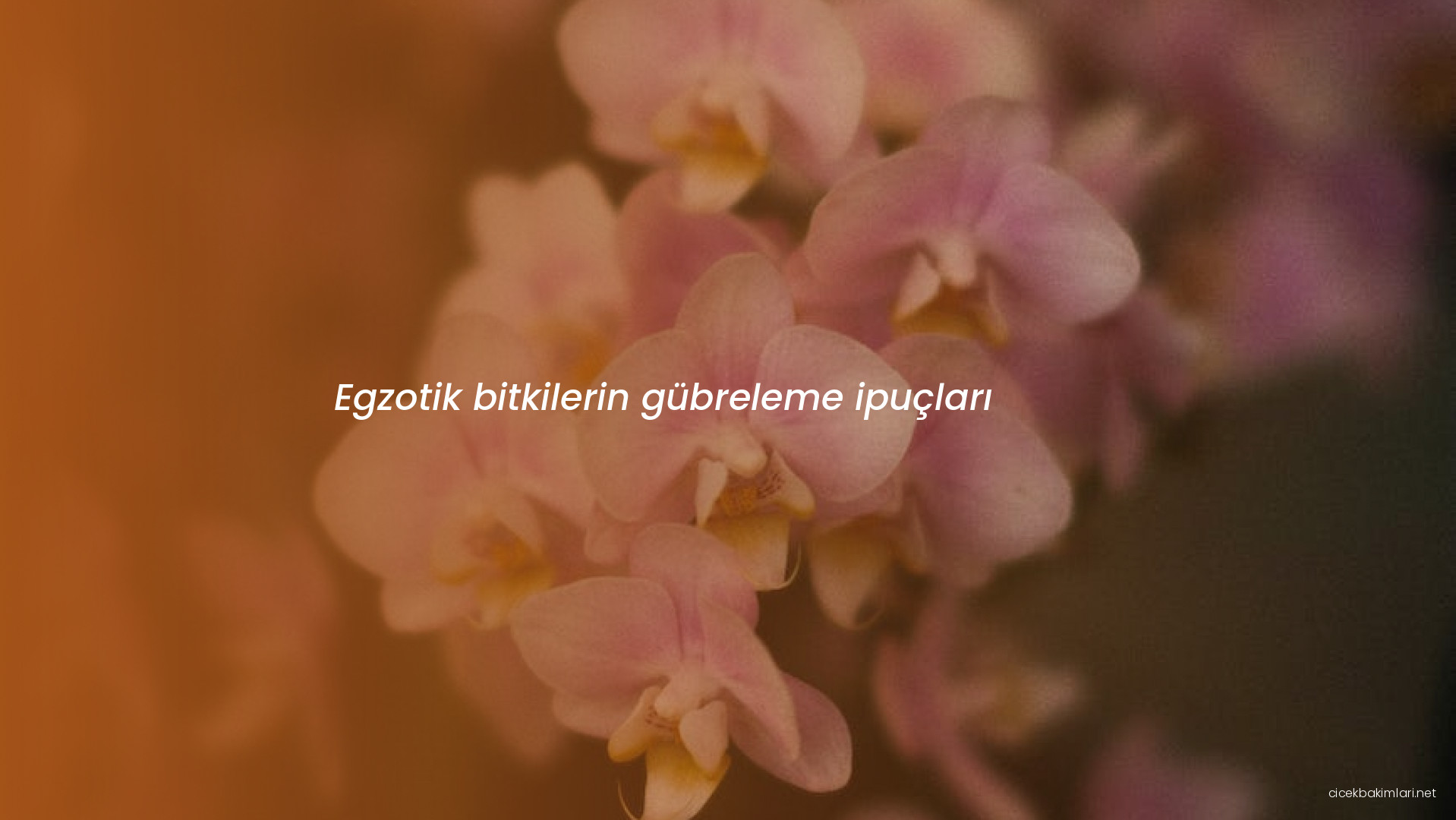Egzotik bitkilerin gübreleme ipuçları