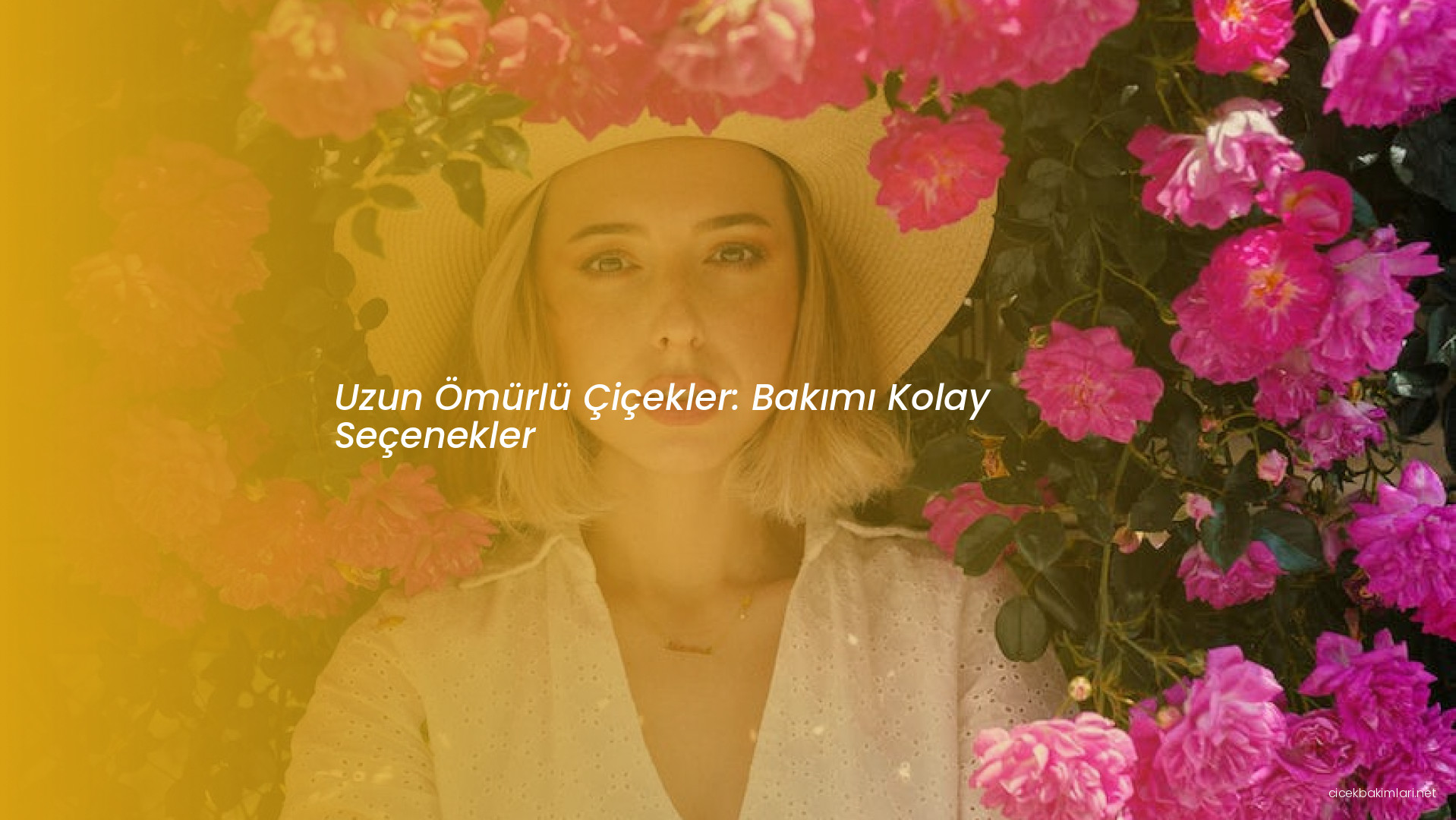 Uzun Ömürlü Çiçekler: Bakımı Kolay Seçenekler