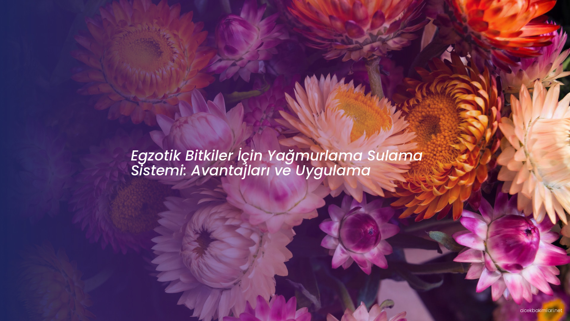 Egzotik Bitkiler İçin Yağmurlama Sulama Sistemi: Avantajları ve Uygulama