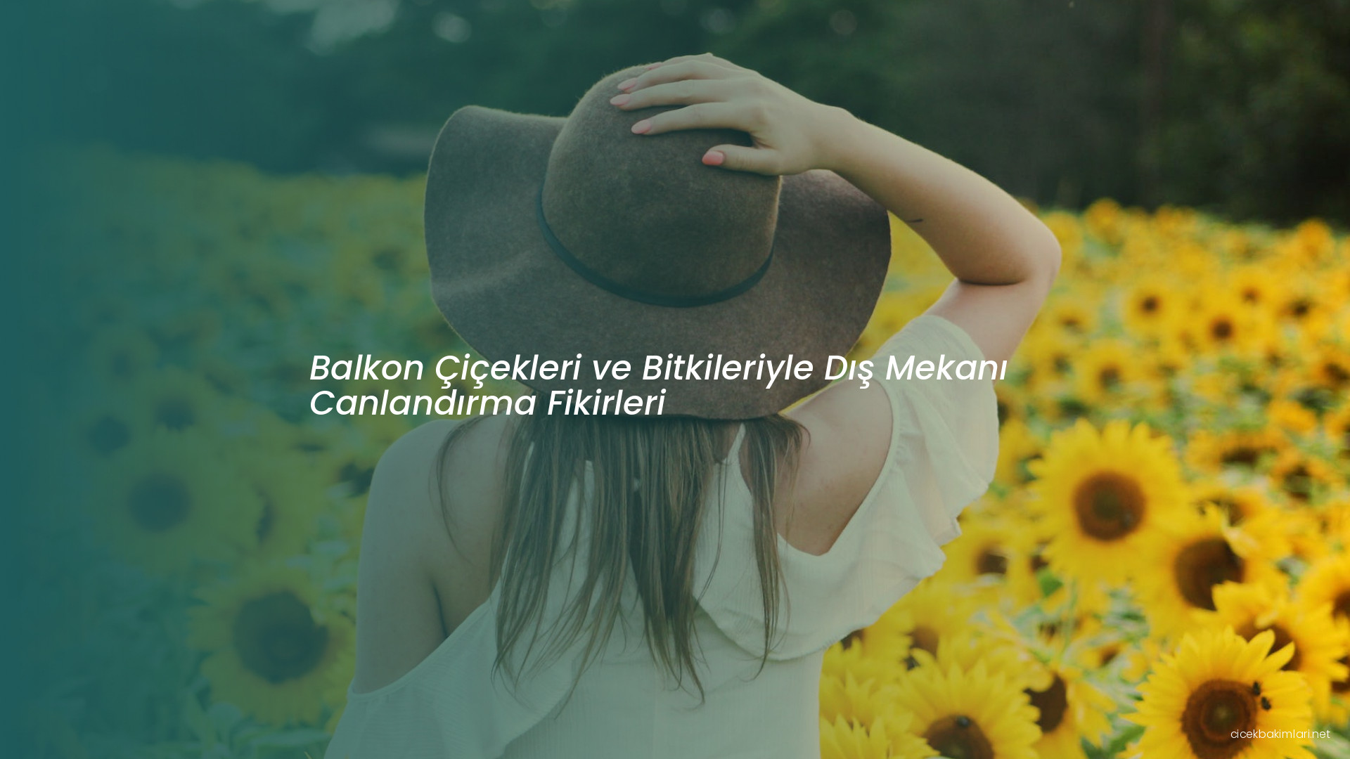 Balkon Çiçekleri ve Bitkileriyle Dış Mekanı Canlandırma Fikirleri