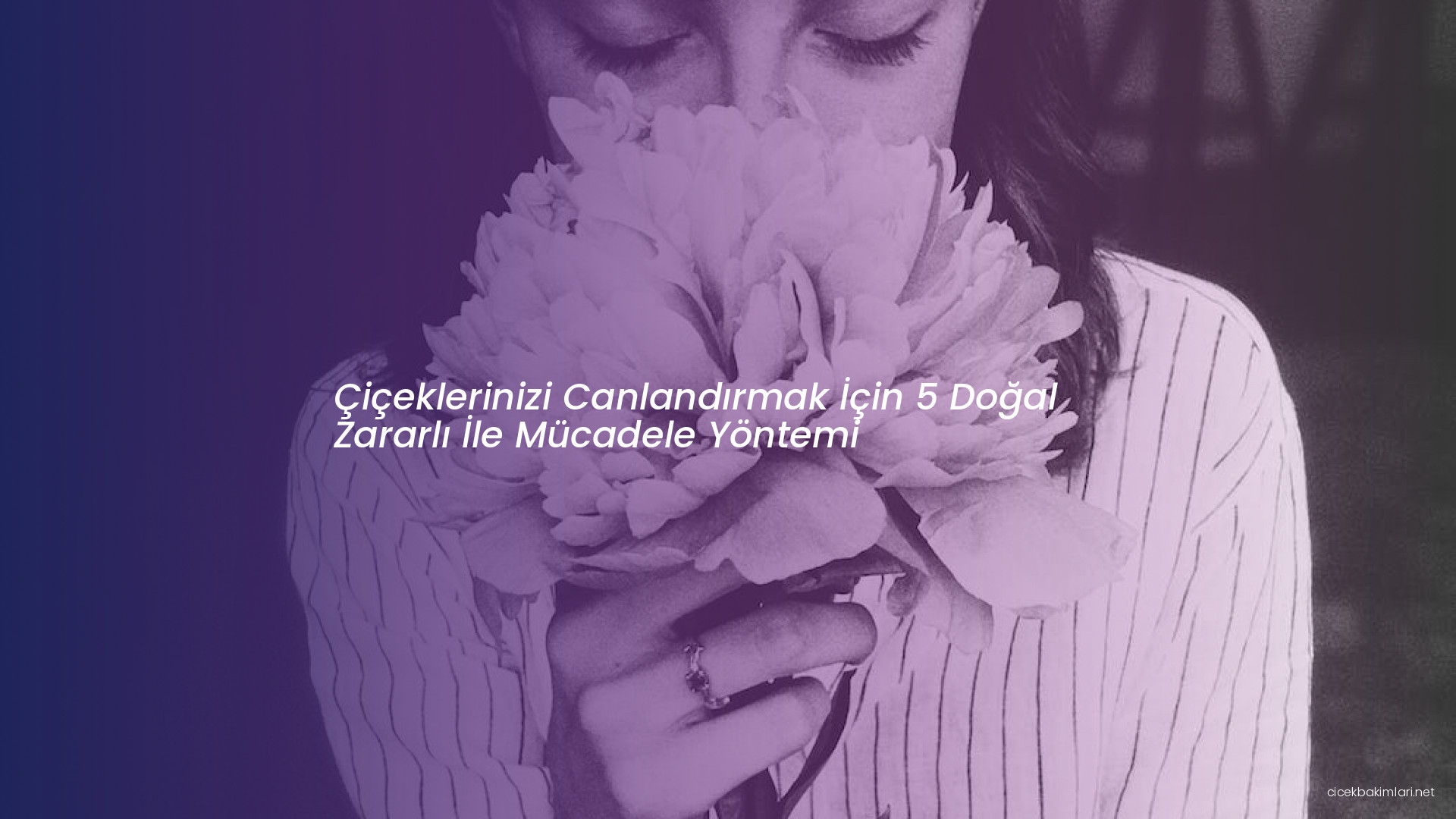 Çiçeklerinizi Canlandırmak İçin 5 Doğal Zararlı İle Mücadele Yöntemi