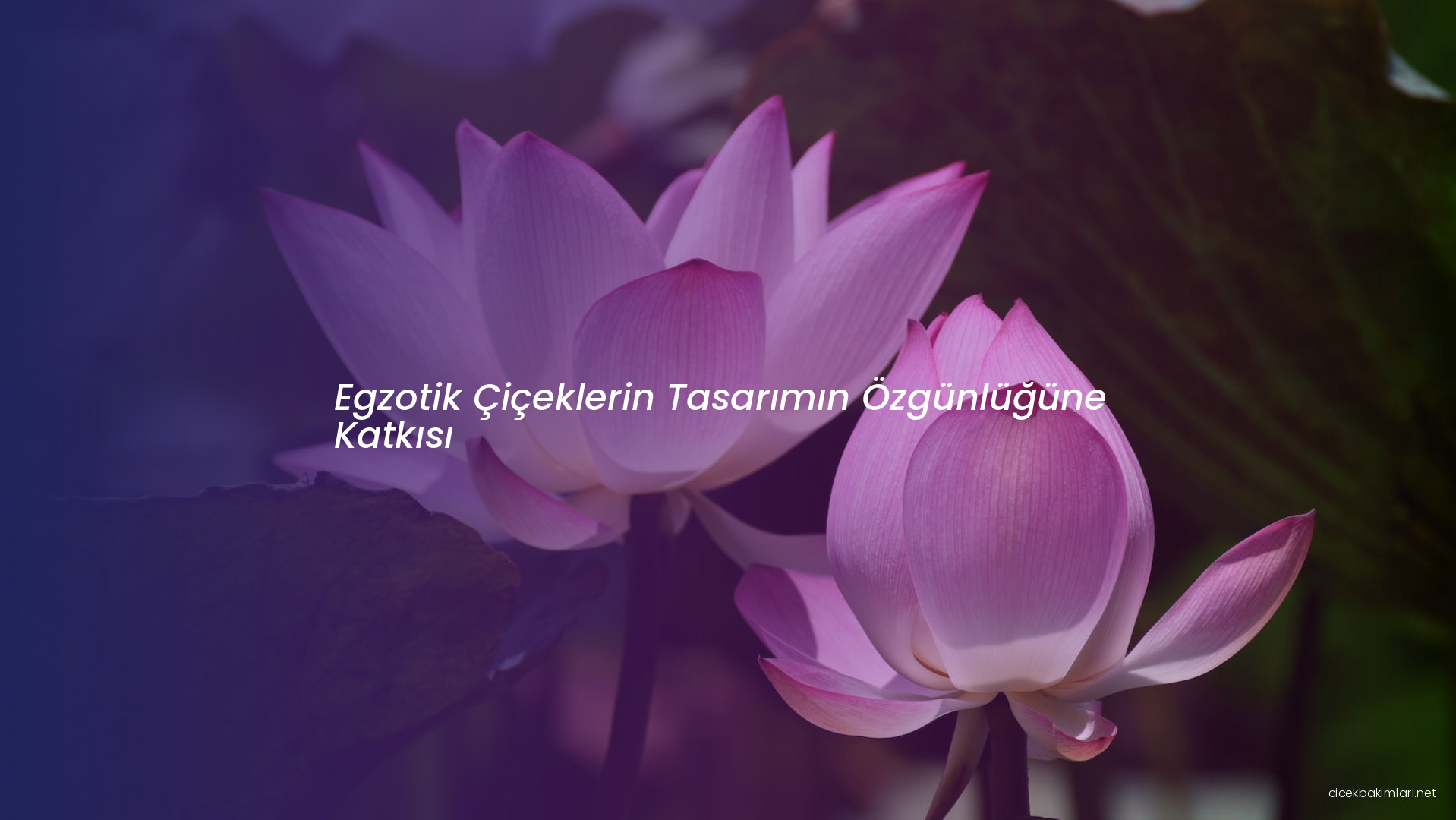 Egzotik Çiçeklerin Tasarımın Özgünlüğüne Katkısı