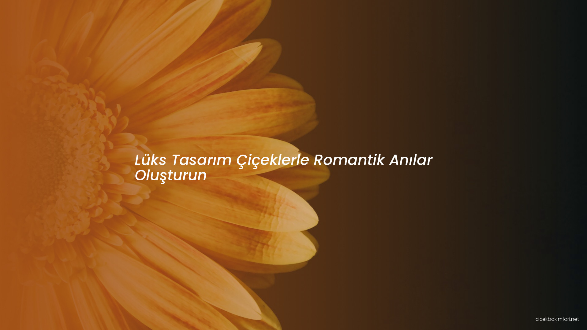 Lüks Tasarım Çiçeklerle Romantik Anılar Oluşturun