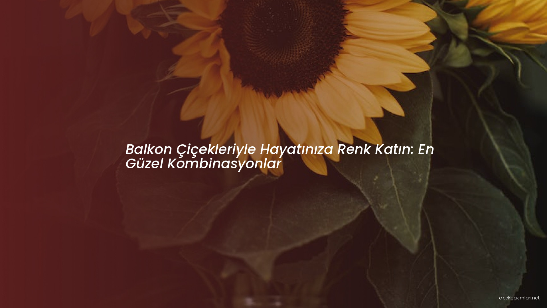 Balkon Çiçekleriyle Hayatınıza Renk Katın: En Güzel Kombinasyonlar