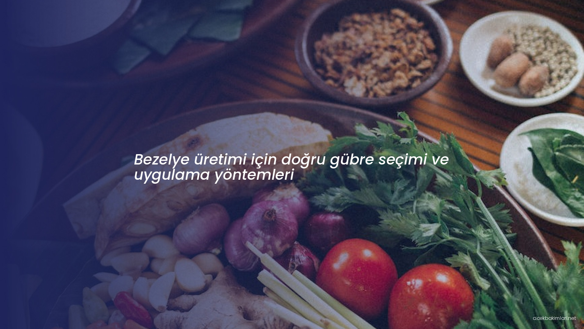 Bezelye üretimi için doğru gübre seçimi ve uygulama yöntemleri