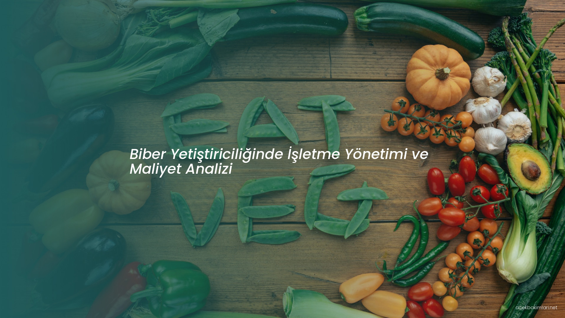 Biber Yetiştiriciliğinde İşletme Yönetimi ve Maliyet Analizi