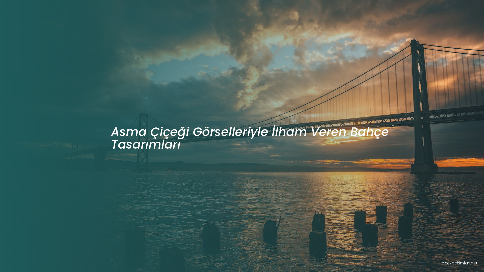 Asma Çiçeği Görselleriyle İlham Veren Bahçe Tasarımları