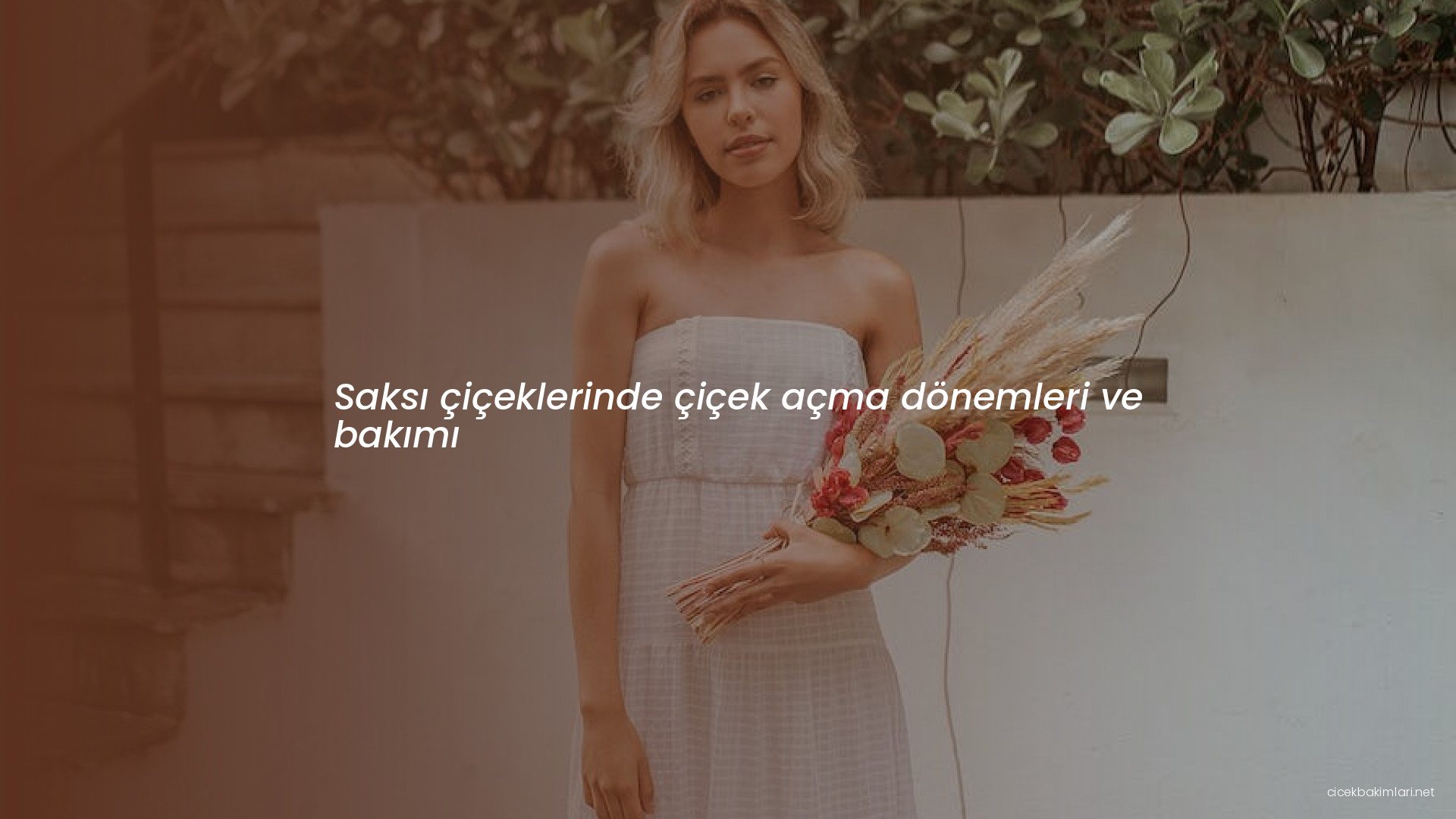 Saksı çiçeklerinde çiçek açma dönemleri ve bakımı