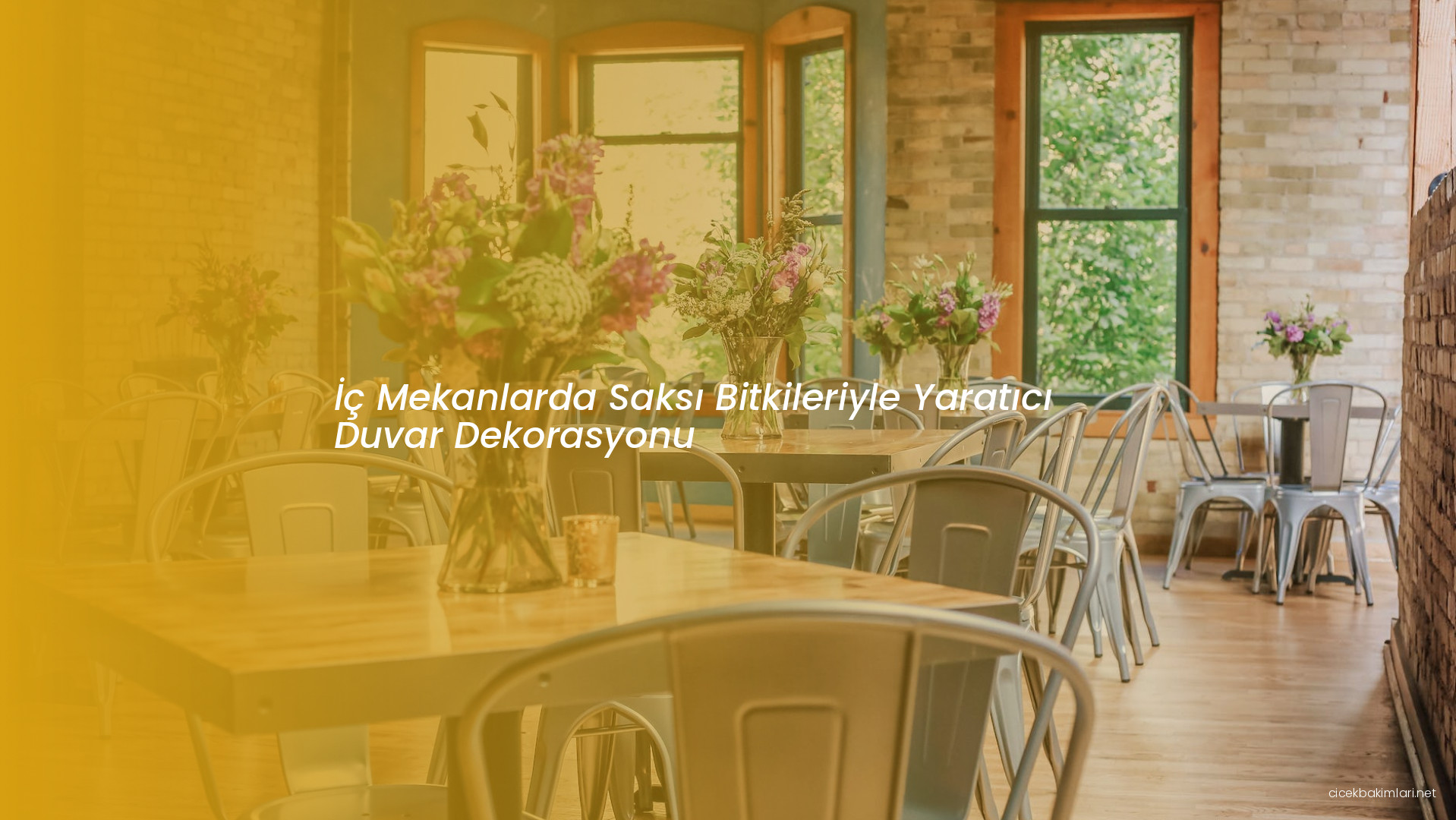 İç Mekanlarda Saksı Bitkileriyle Yaratıcı Duvar Dekorasyonu