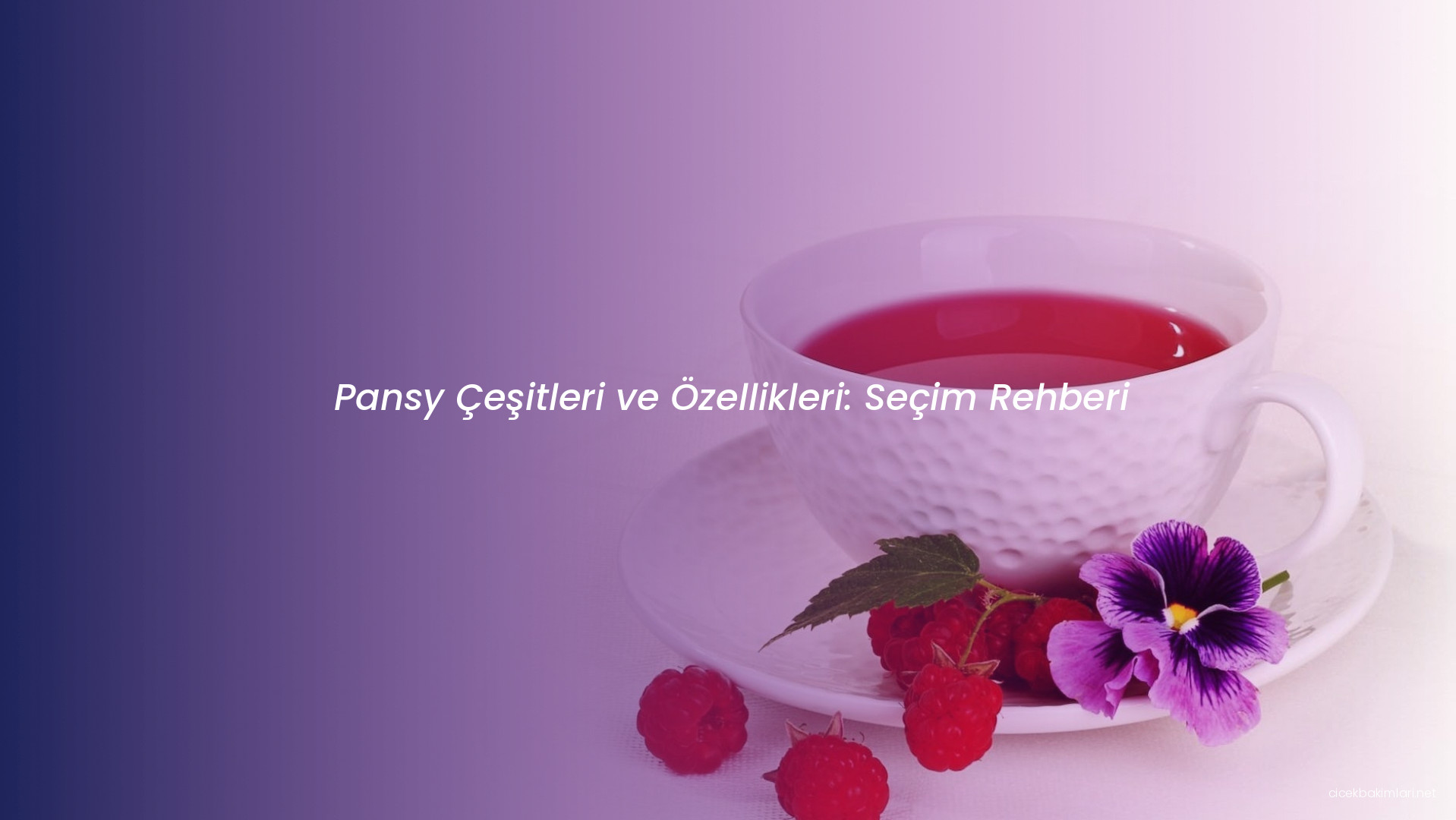 Pansy Çeşitleri ve Özellikleri: Seçim Rehberi