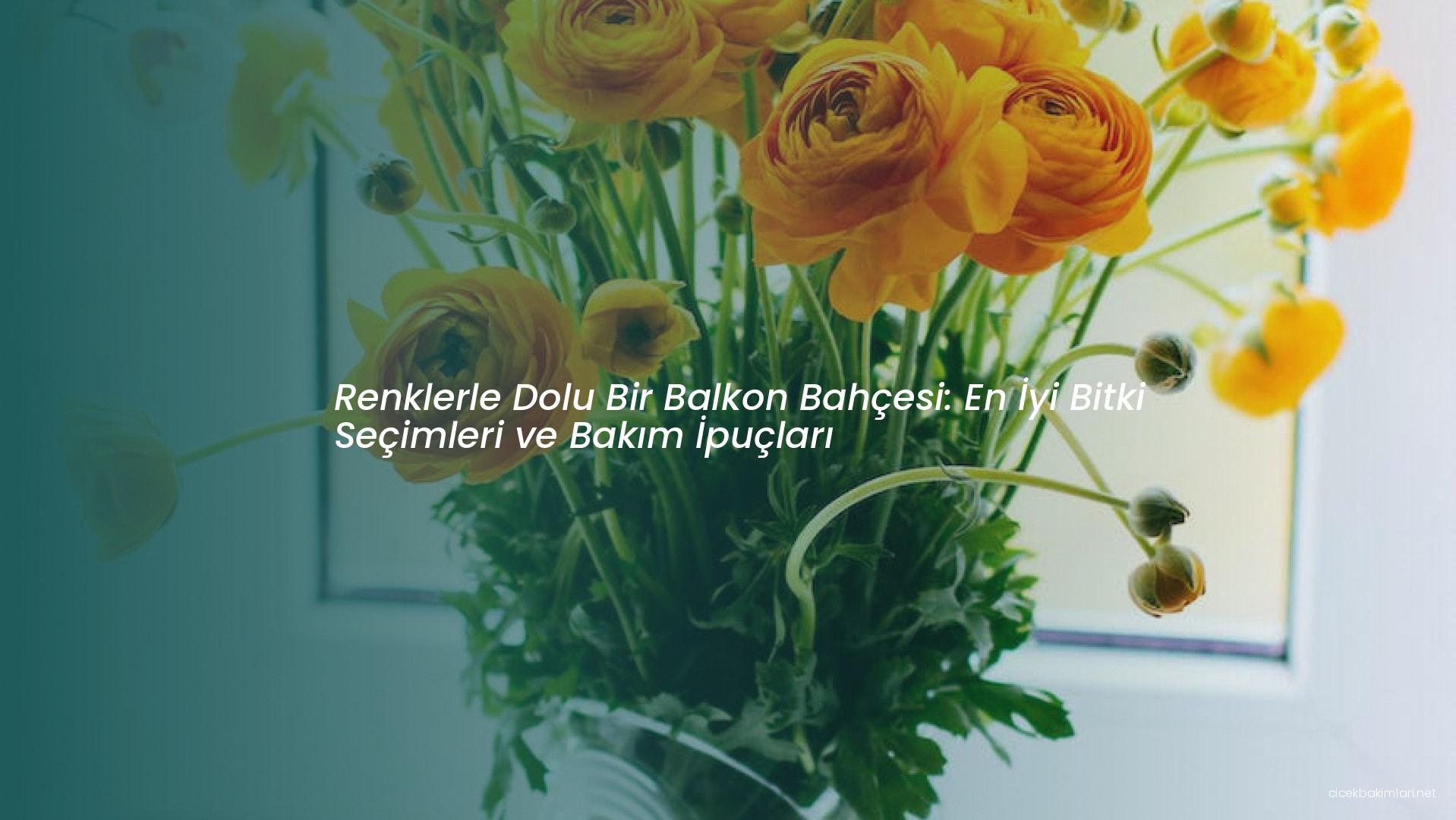 Renklerle Dolu Bir Balkon Bahçesi: En İyi Bitki Seçimleri ve Bakım İpuçları