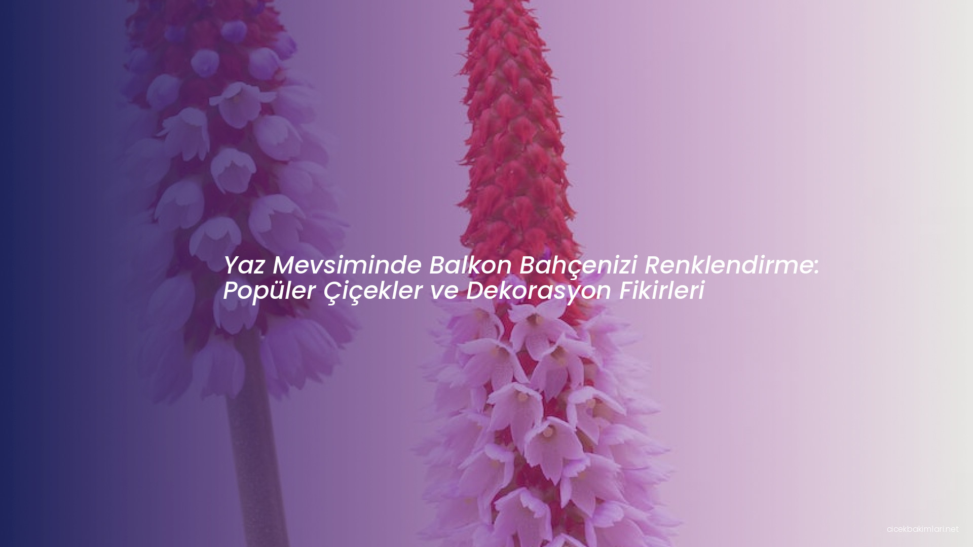 Yaz Mevsiminde Balkon Bahçenizi Renklendirme: Popüler Çiçekler ve Dekorasyon Fikirleri