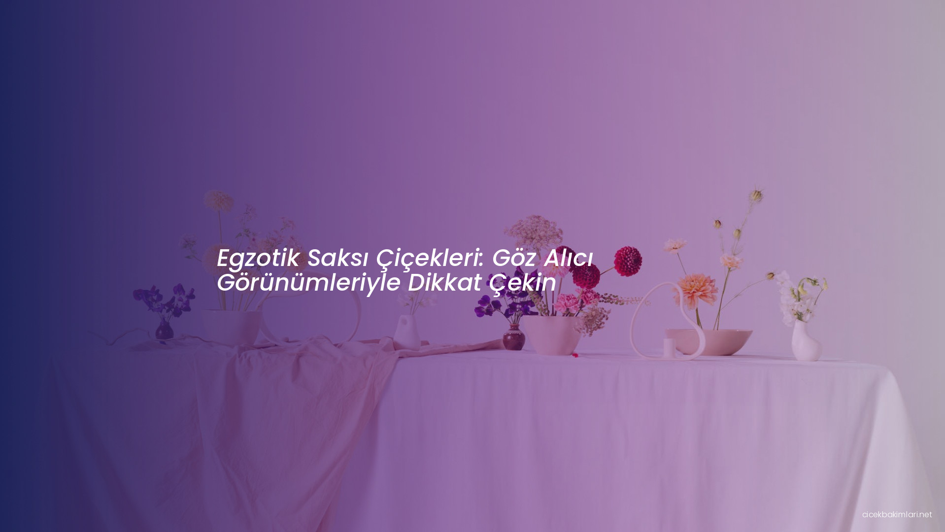 Egzotik Saksı Çiçekleri: Göz Alıcı Görünümleriyle Dikkat Çekin