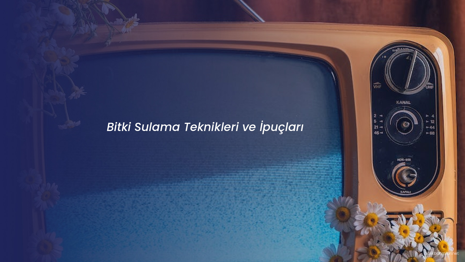 Bitki Sulama Teknikleri ve İpuçları