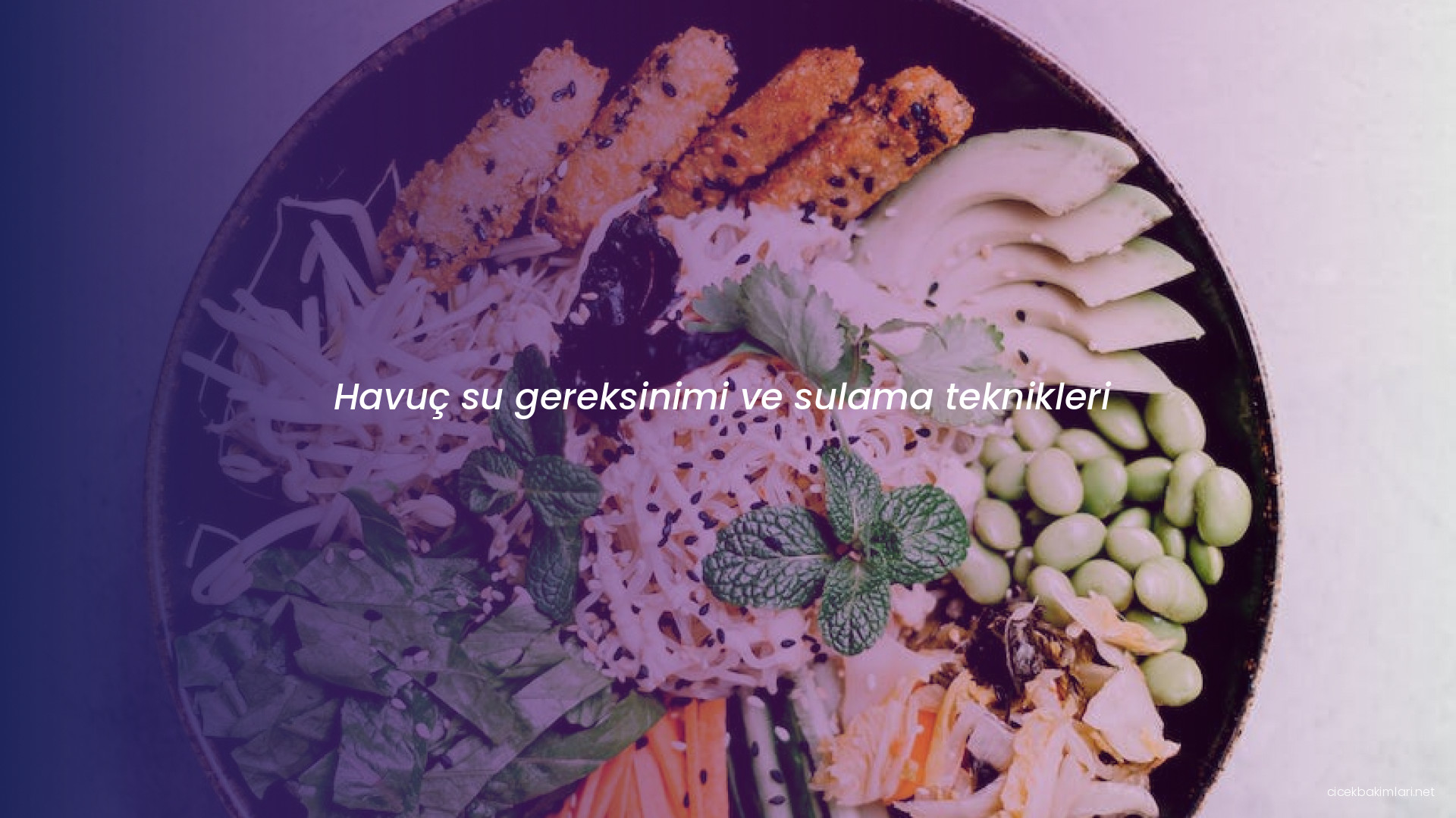 Havuç su gereksinimi ve sulama teknikleri