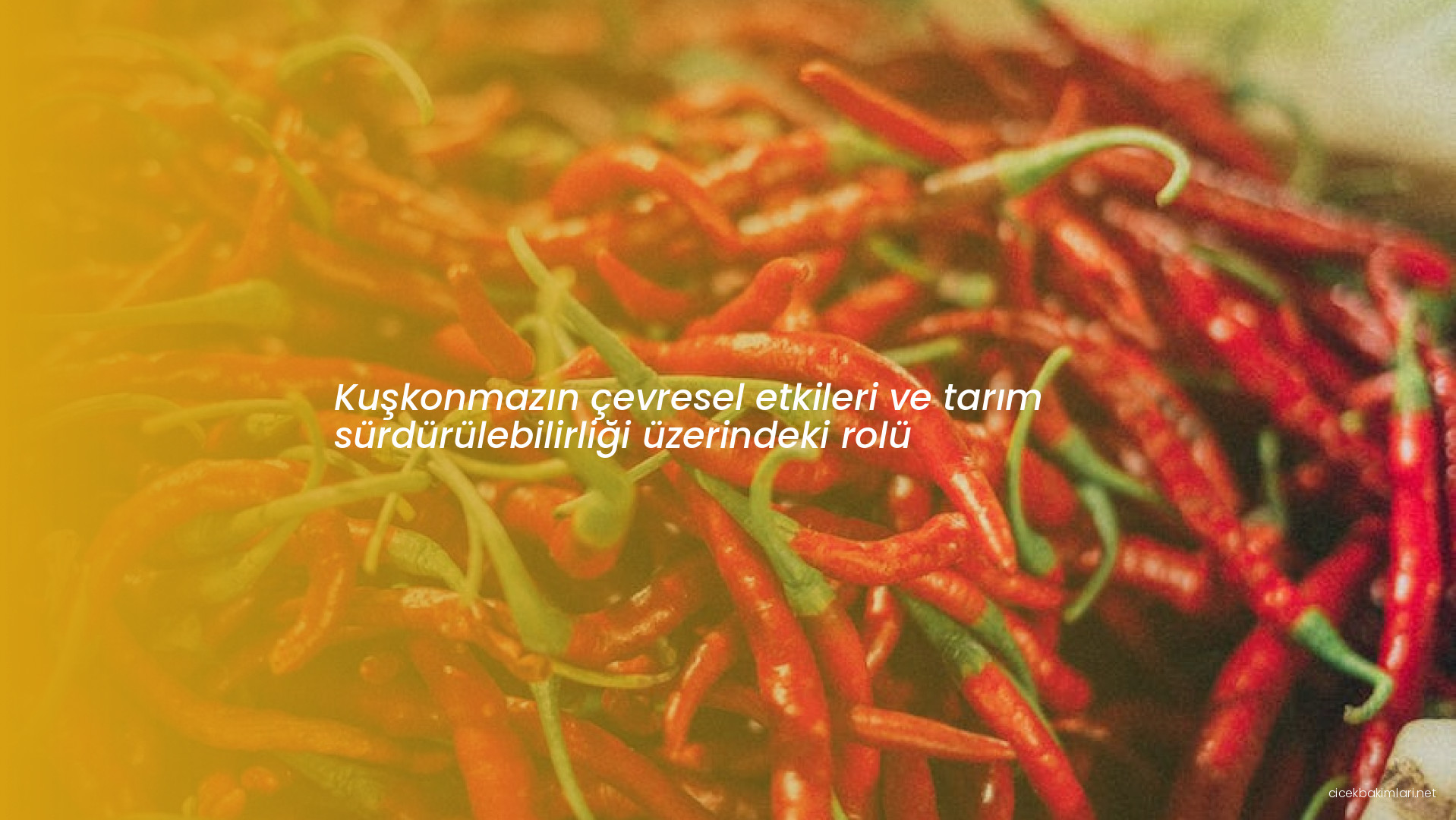 Kuşkonmazın çevresel etkileri ve tarım sürdürülebilirliği üzerindeki rolü