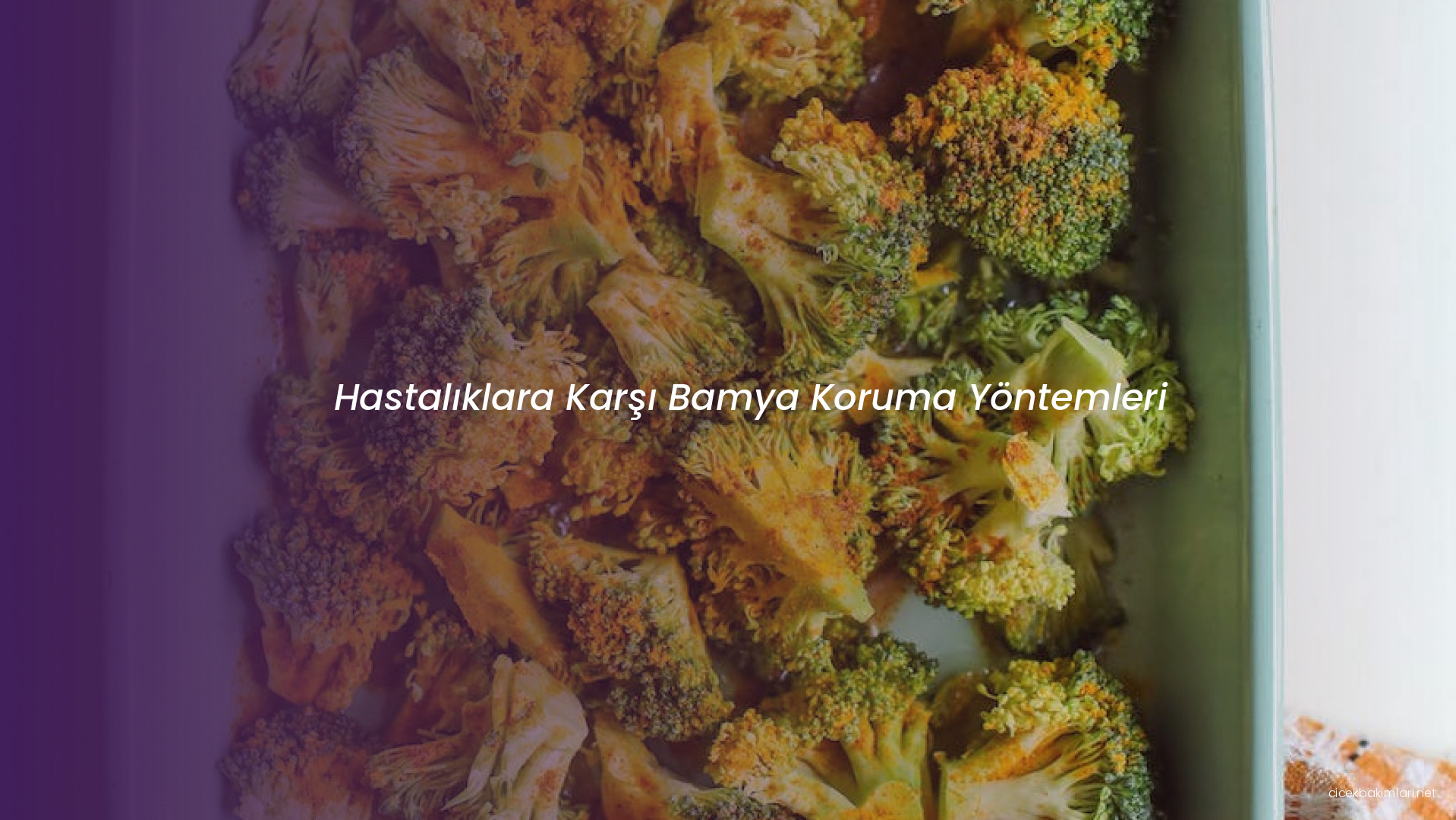 Hastalıklara Karşı Bamya Koruma Yöntemleri