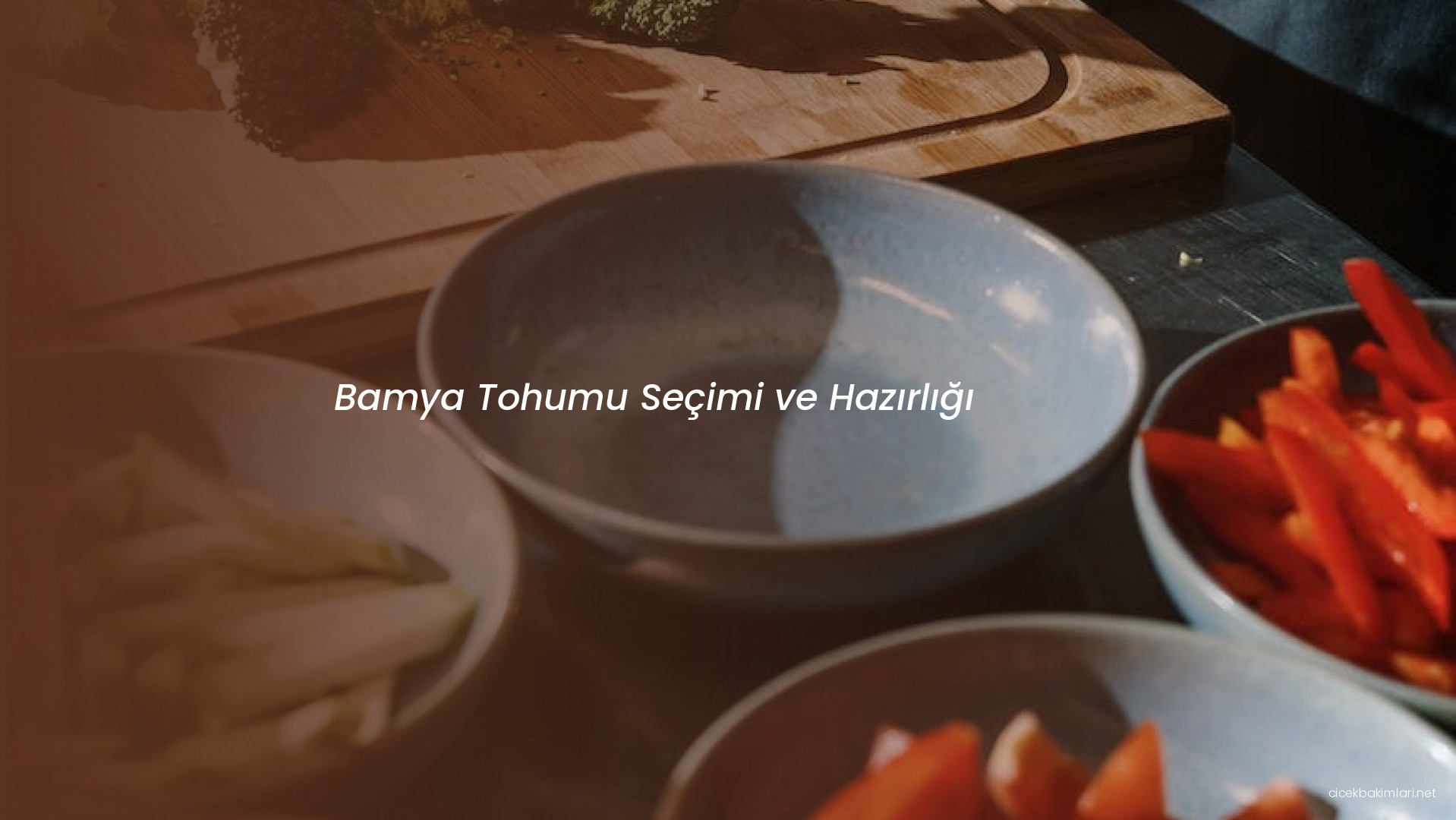 Bamya Tohumu Seçimi ve Hazırlığı